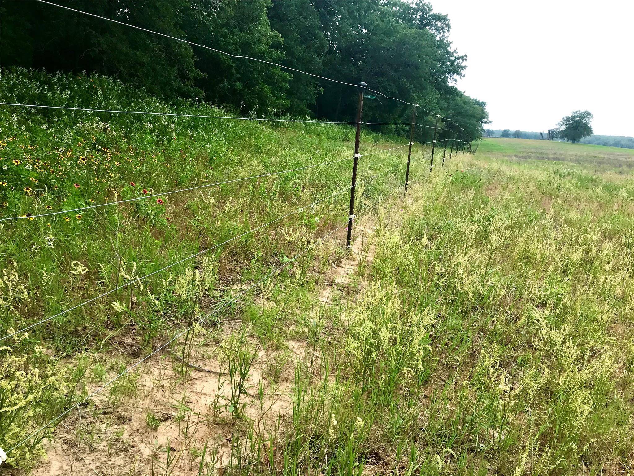 1672 Sayers RD #Tract 1, Bastrop, TX 78602