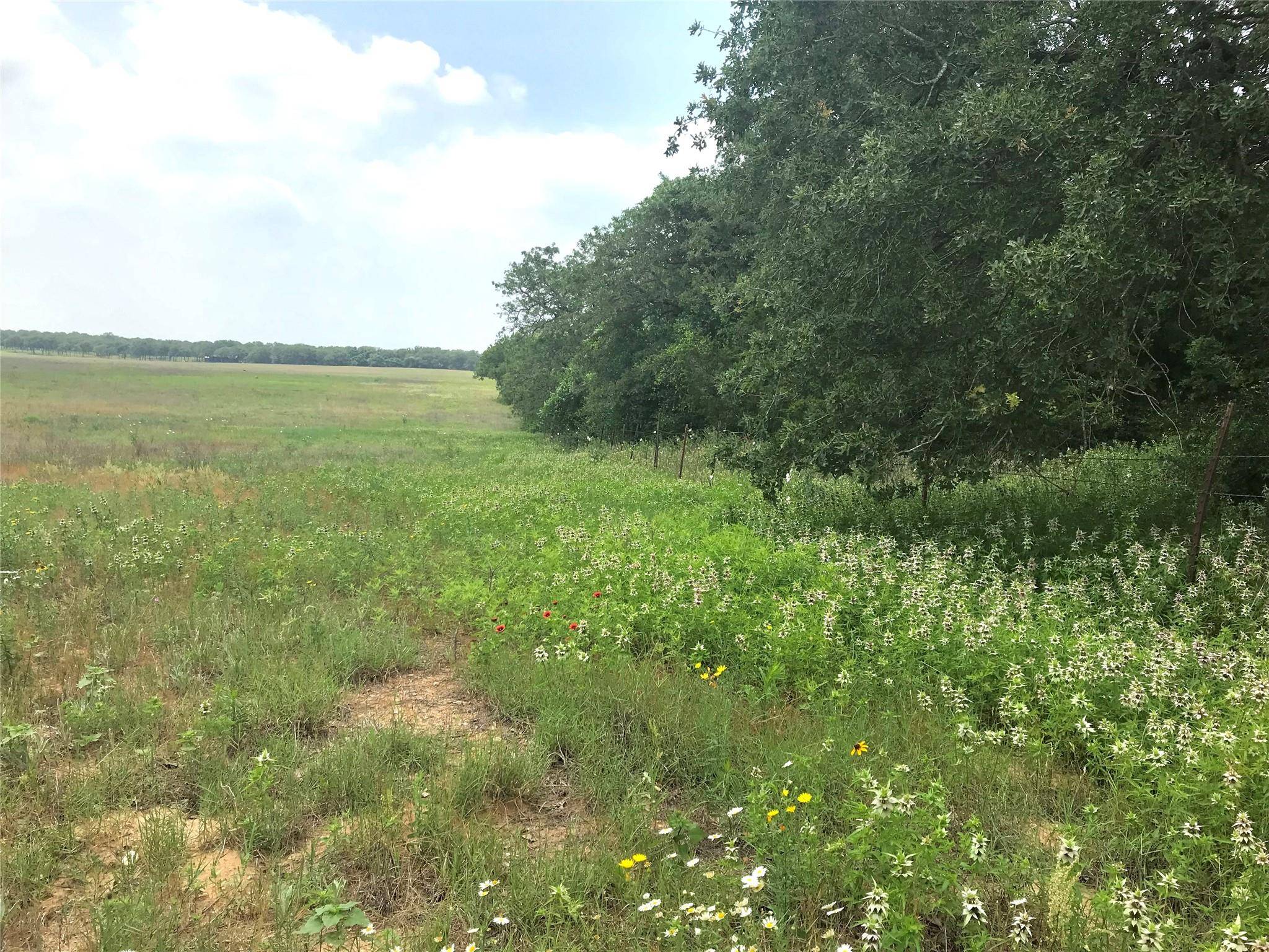 1672 Sayers RD #Tract 1, Bastrop, TX 78602