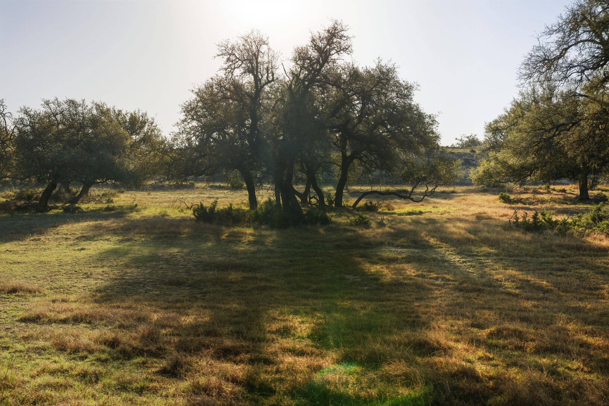 7890 US 290 HWY, Dripping Springs, TX 78620