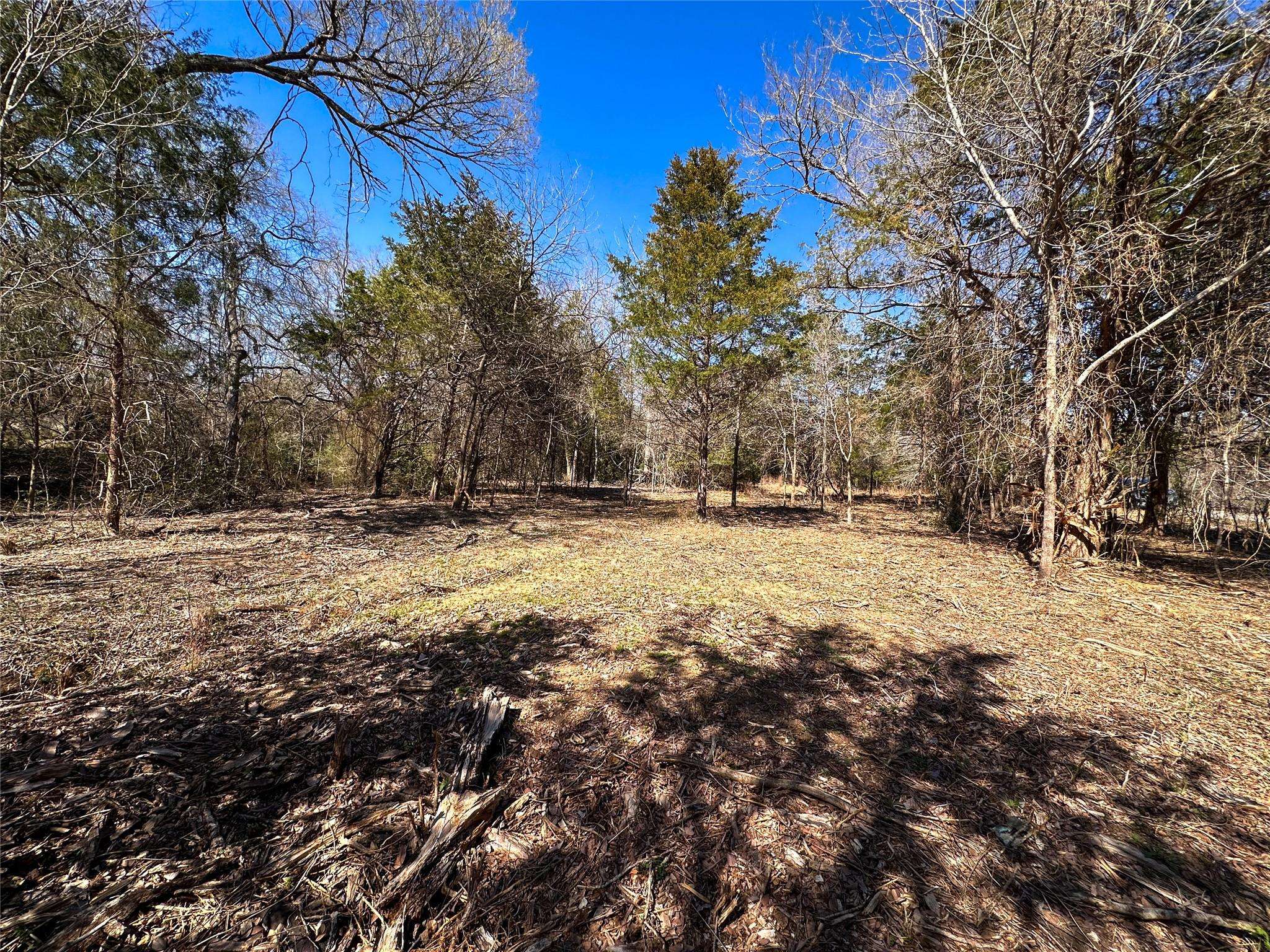 TBD Green Valley DR, Bastrop, TX 78602
