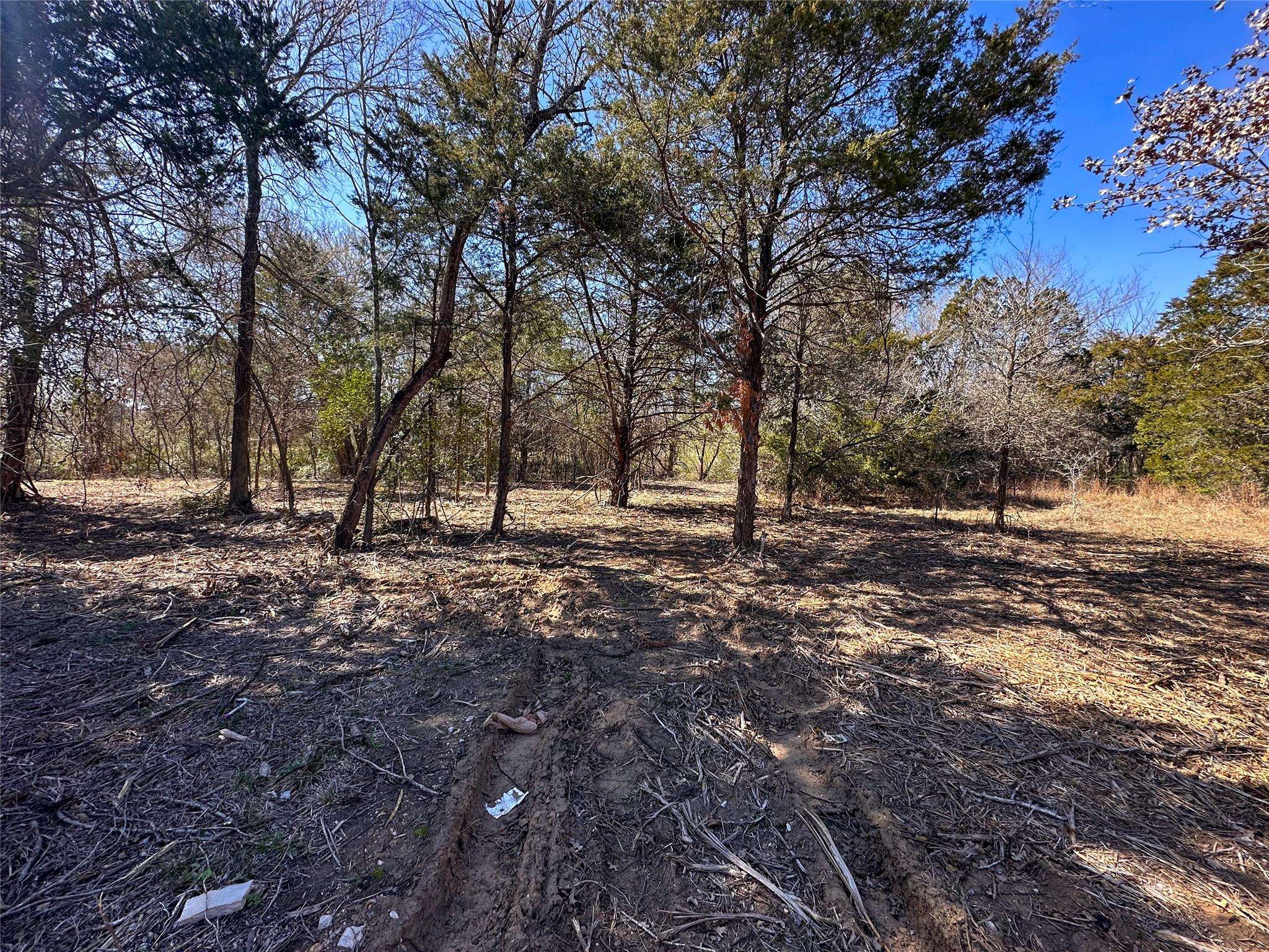 TBD Green Valley DR, Bastrop, TX 78602