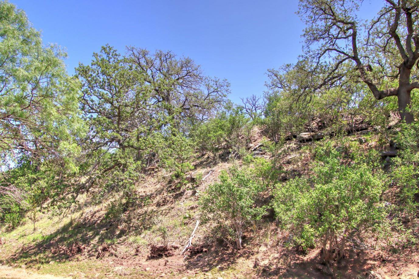 0 County Road 110, Burnet, TX 78611