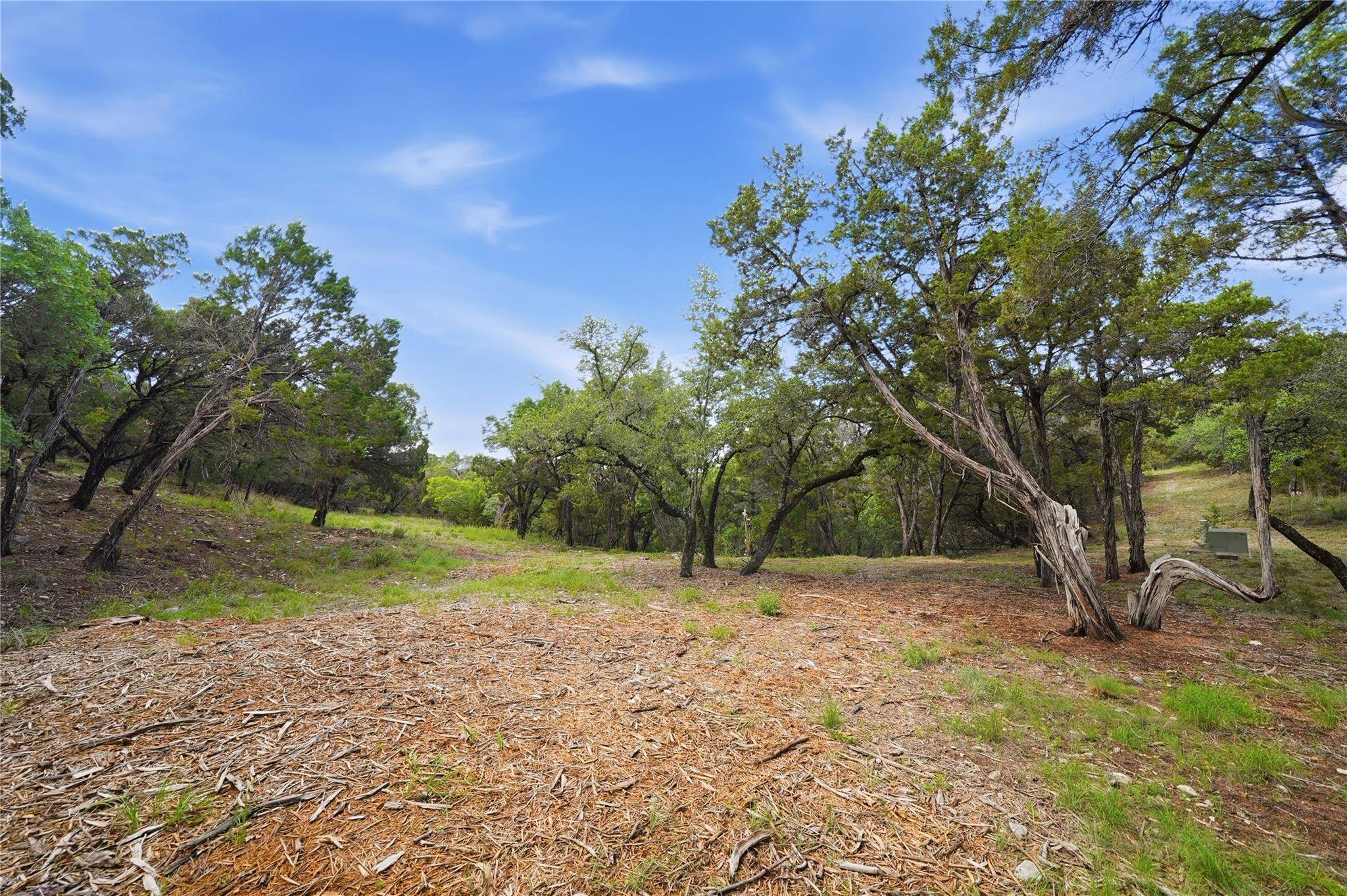 7301 Matisse Pointe DR, Jonestown, TX 78645