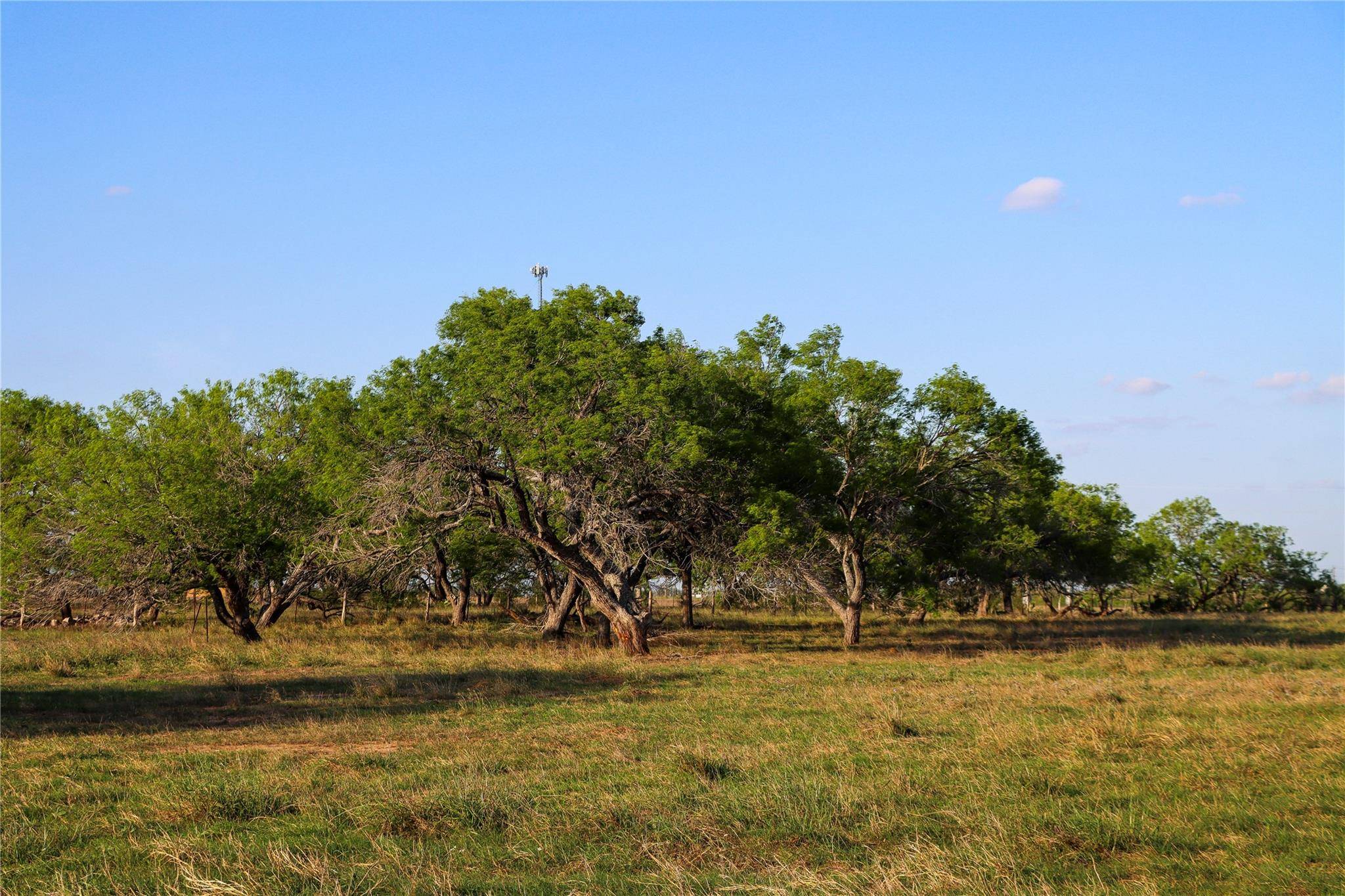 Tract 3 28.92 AC E State Highway 87, Nixon, TX 78140