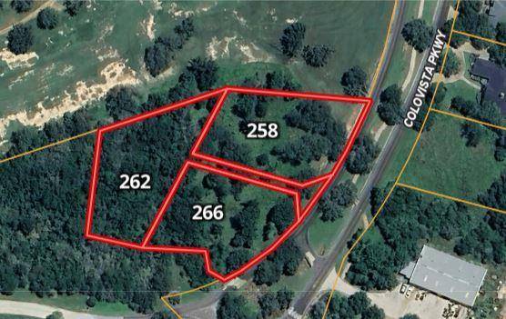 262 Colovista PKWY, Bastrop, TX 78602