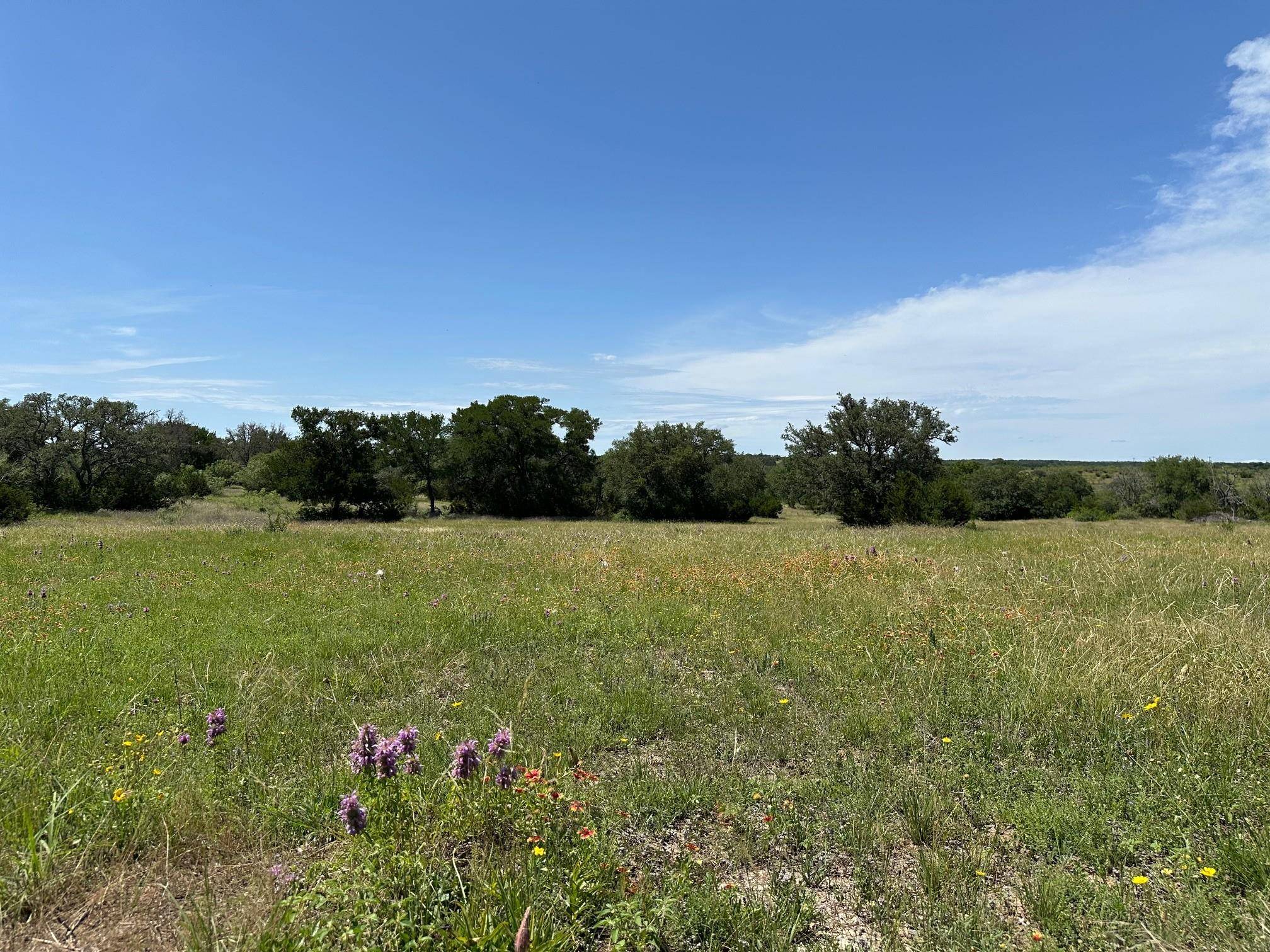 23 acres County Road 330, Bertram, TX 78605