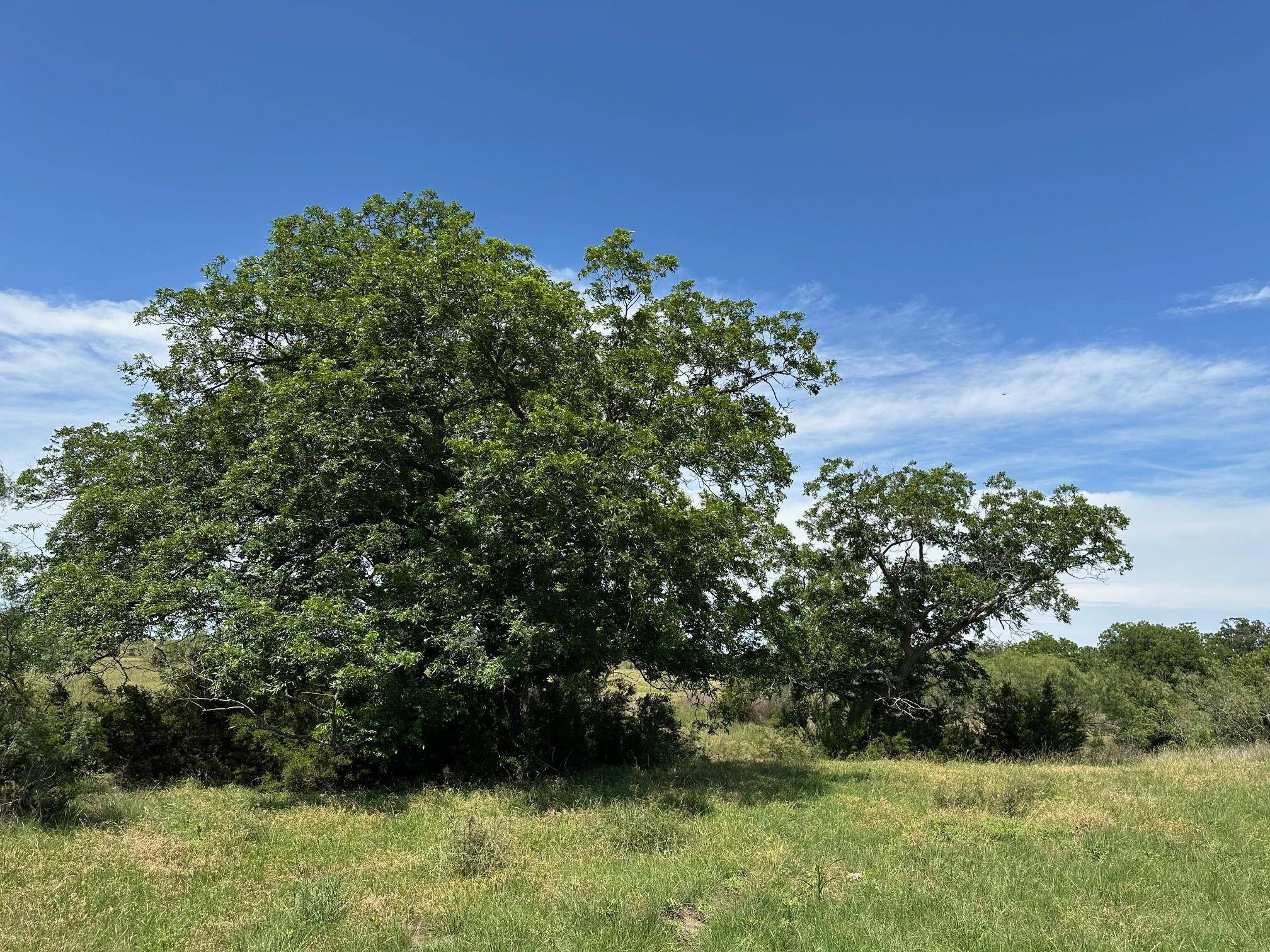 23 acres County Road 330, Bertram, TX 78605