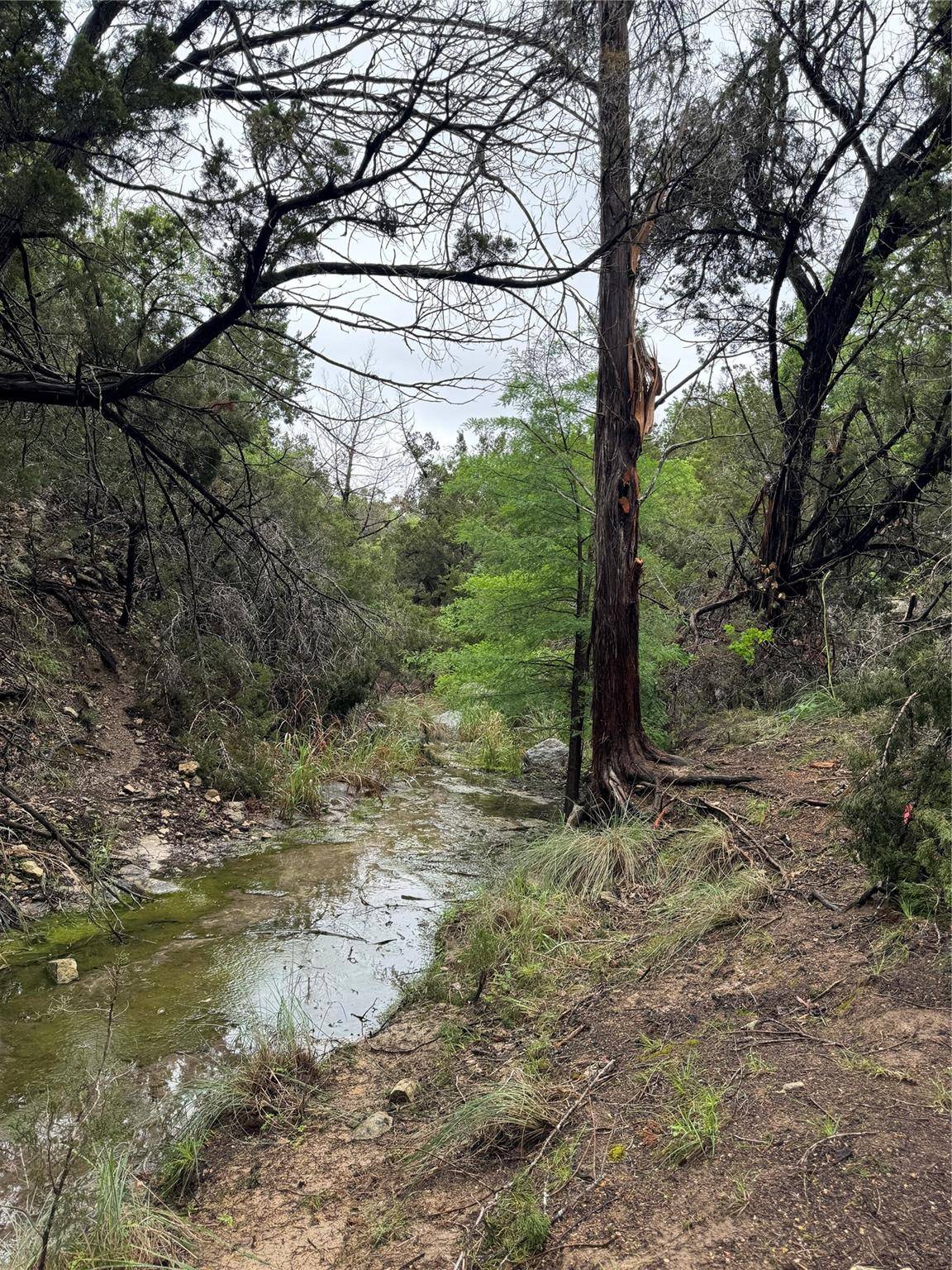 N/A Windy Hills RD, Dripping Springs, TX 78620
