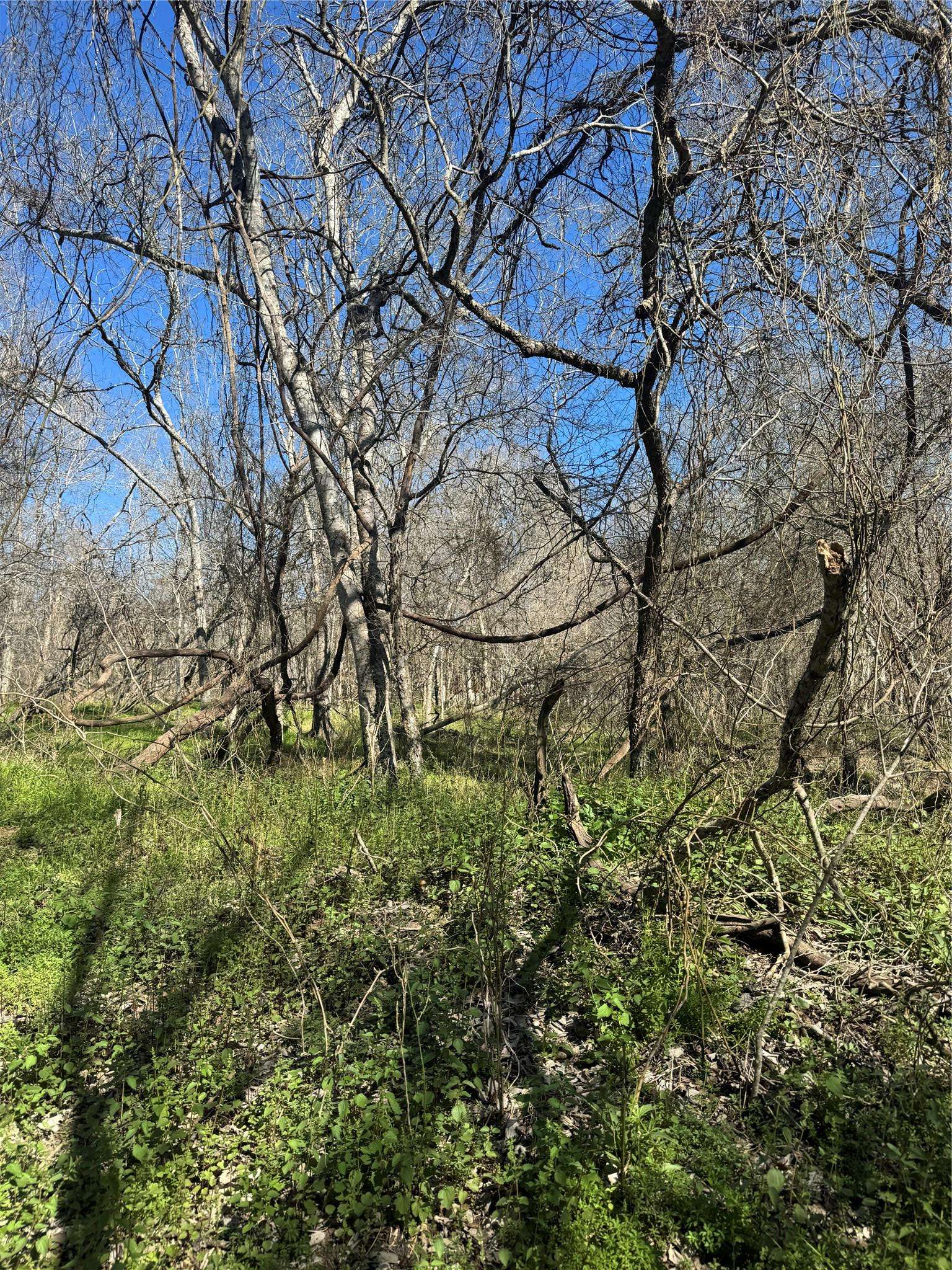 Lot 961 Riverside DR, Bastrop, TX 78602
