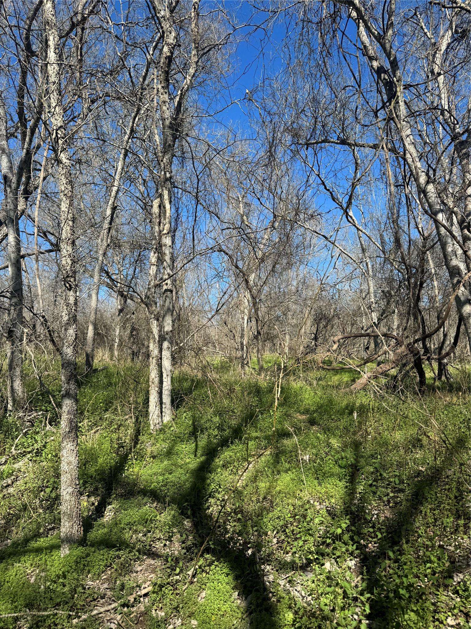 Lot 961 Riverside DR, Bastrop, TX 78602