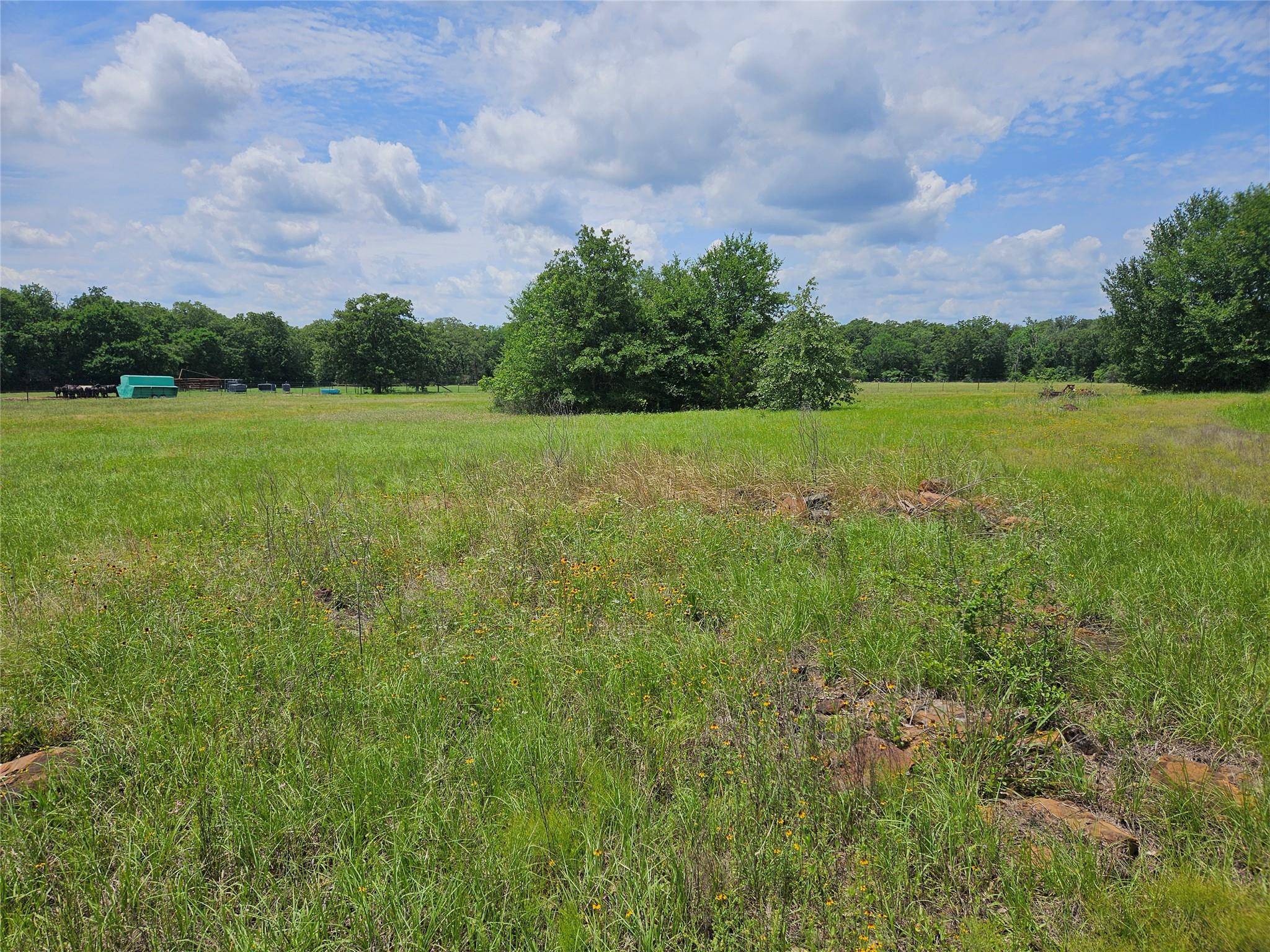 000 TBD CR 346 RD, Milano, TX 76556