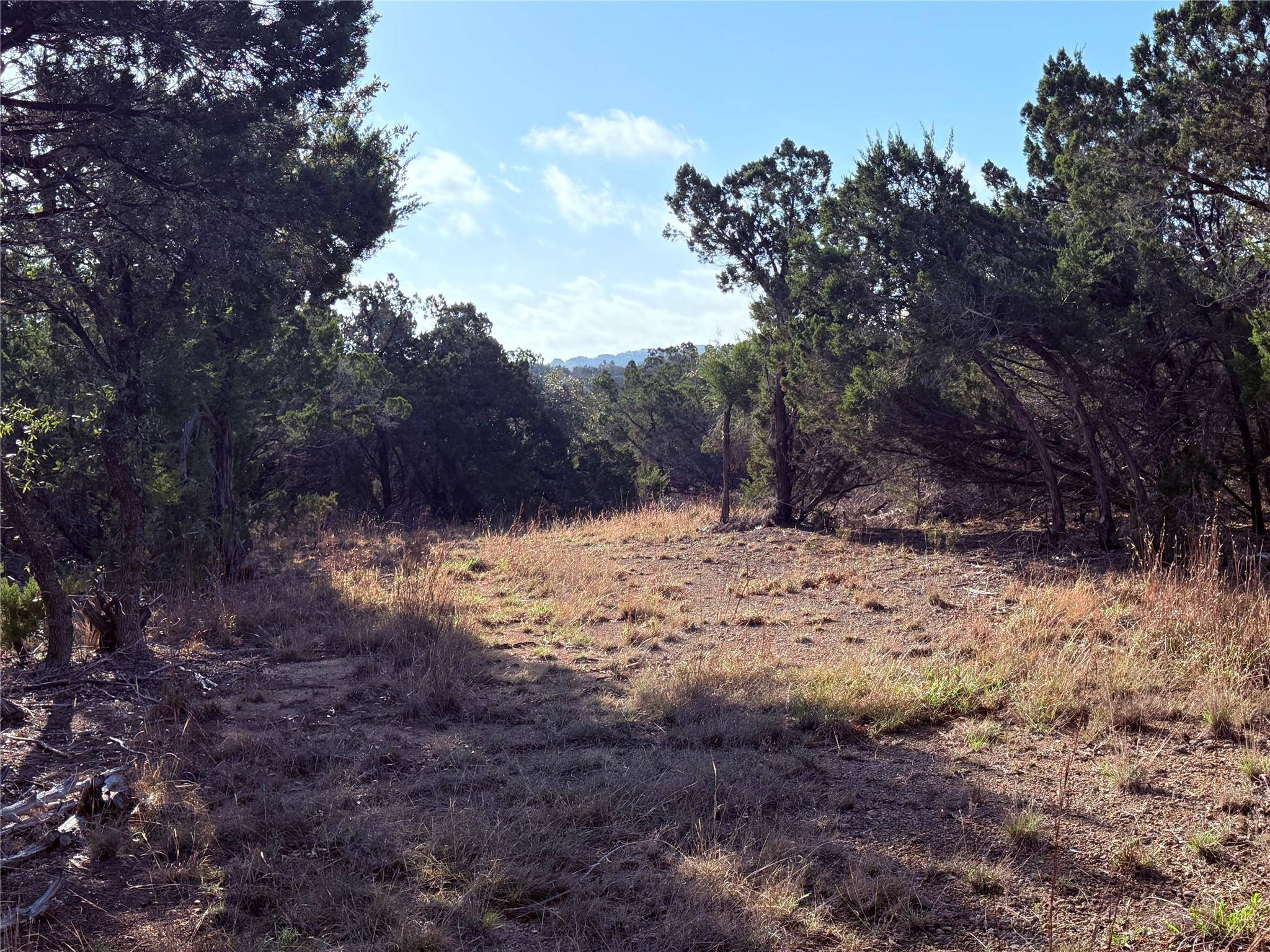 3600 Stagecoach Ranch LOOP, Dripping Springs, TX 78620