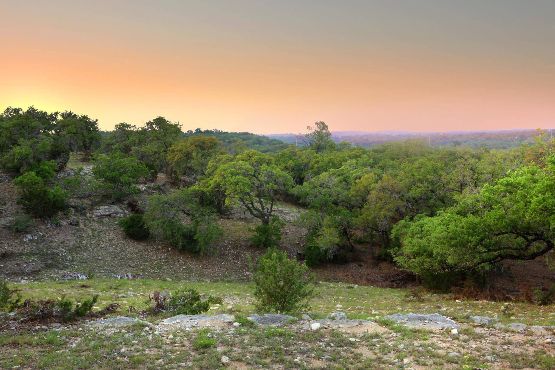 396 Waters View CT, Dripping Springs, TX 78620