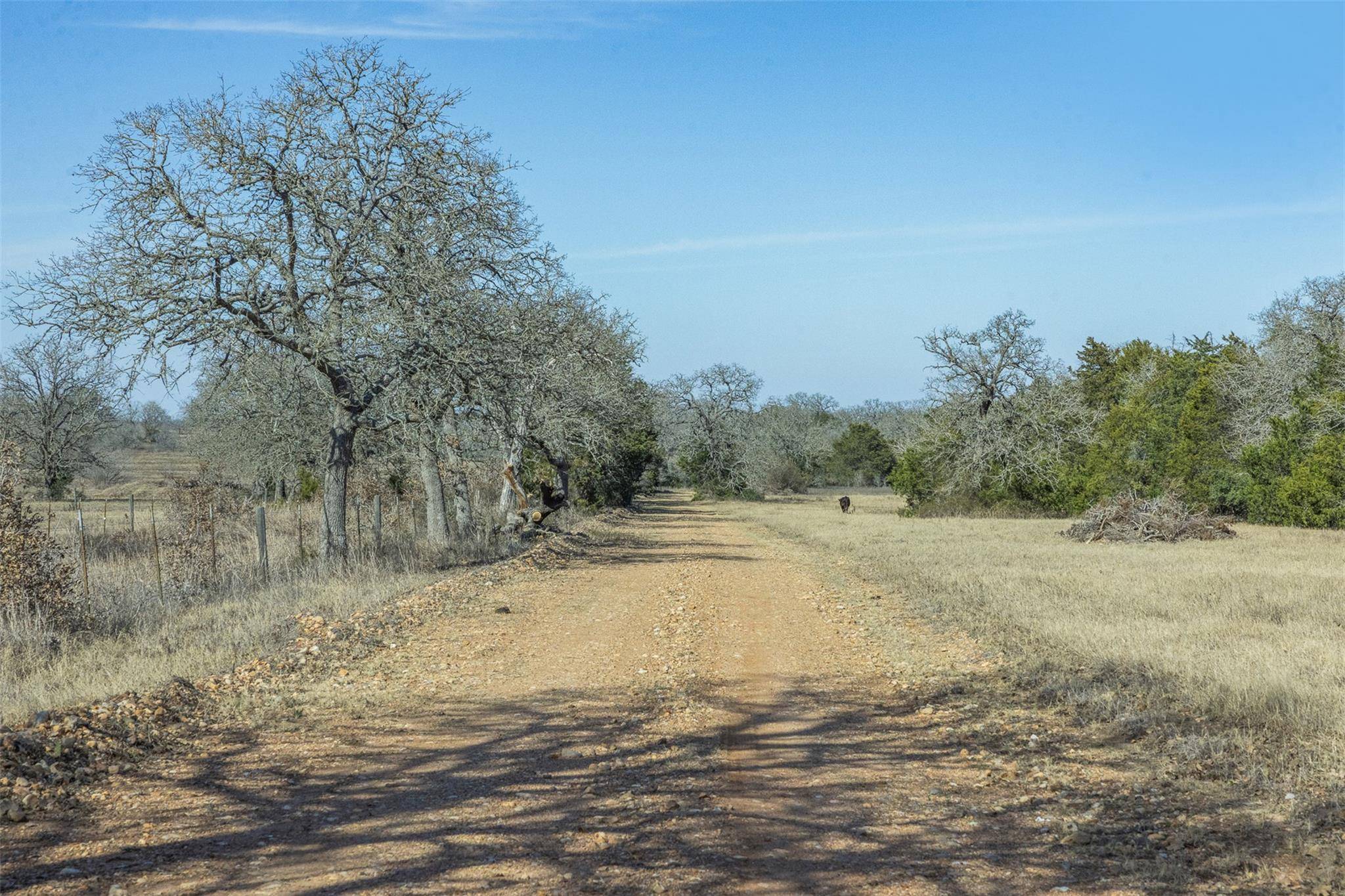 TBD CR 200, Giddings, TX 78942