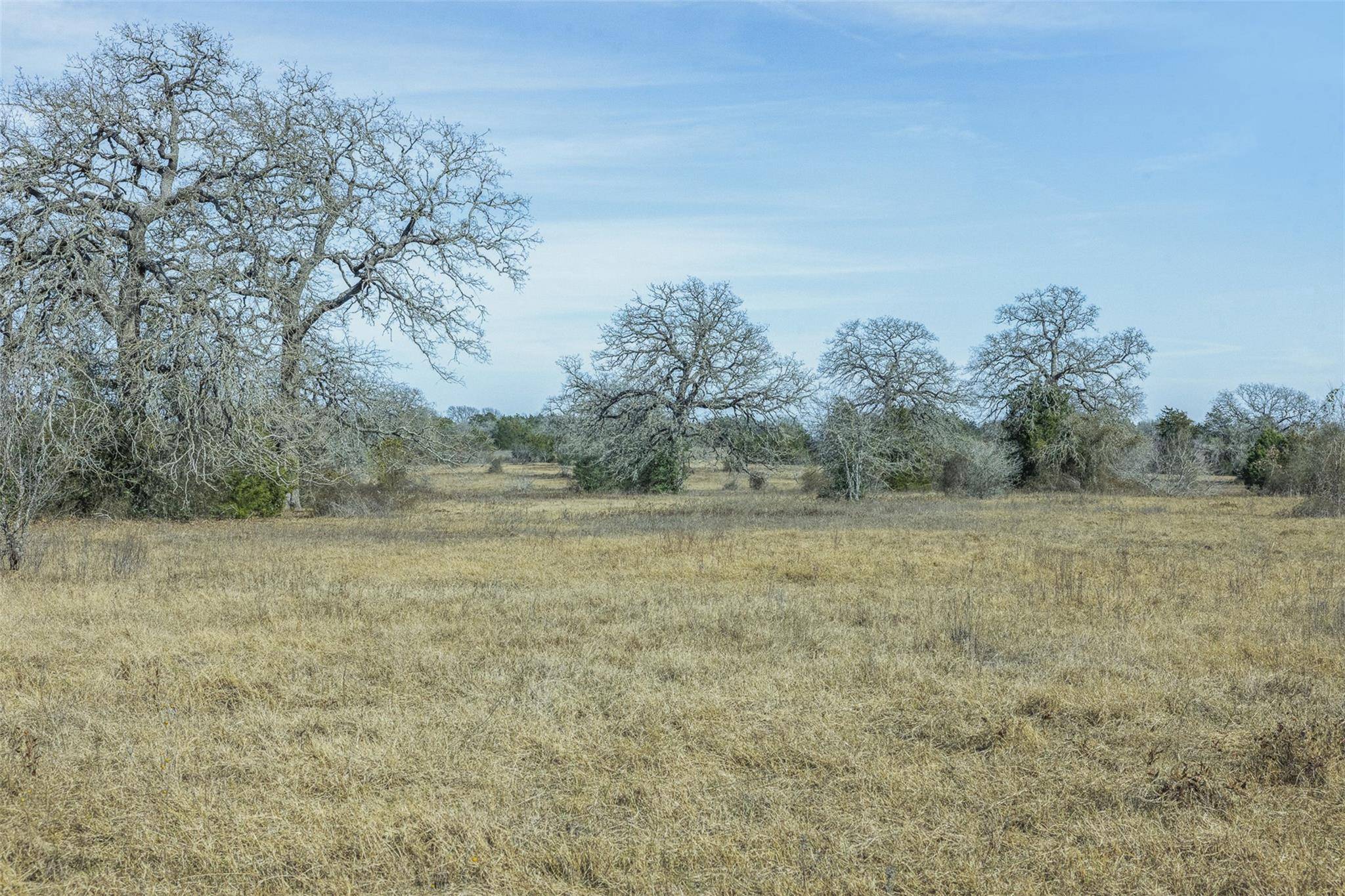TBD CR 200, Giddings, TX 78942