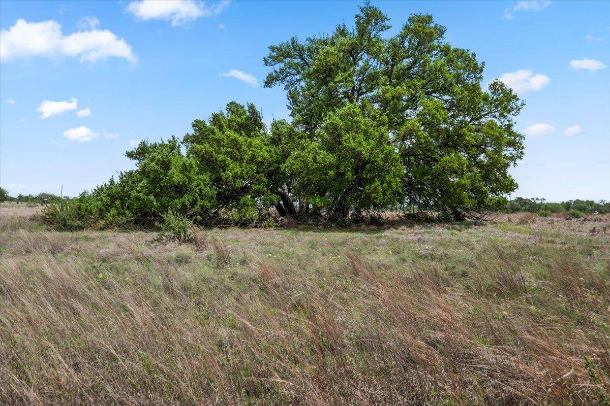 6594 W Hwy 290, Dripping Springs, TX 78620