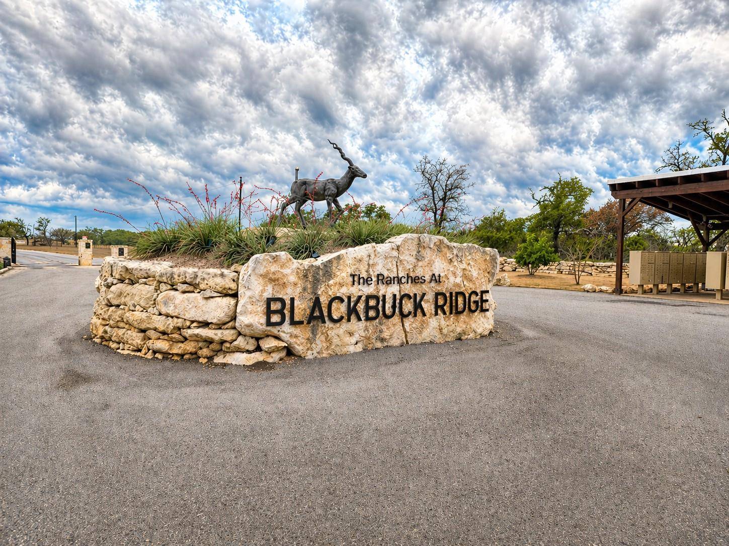 Lot 162 Addax CT, Lampasas, TX 76550