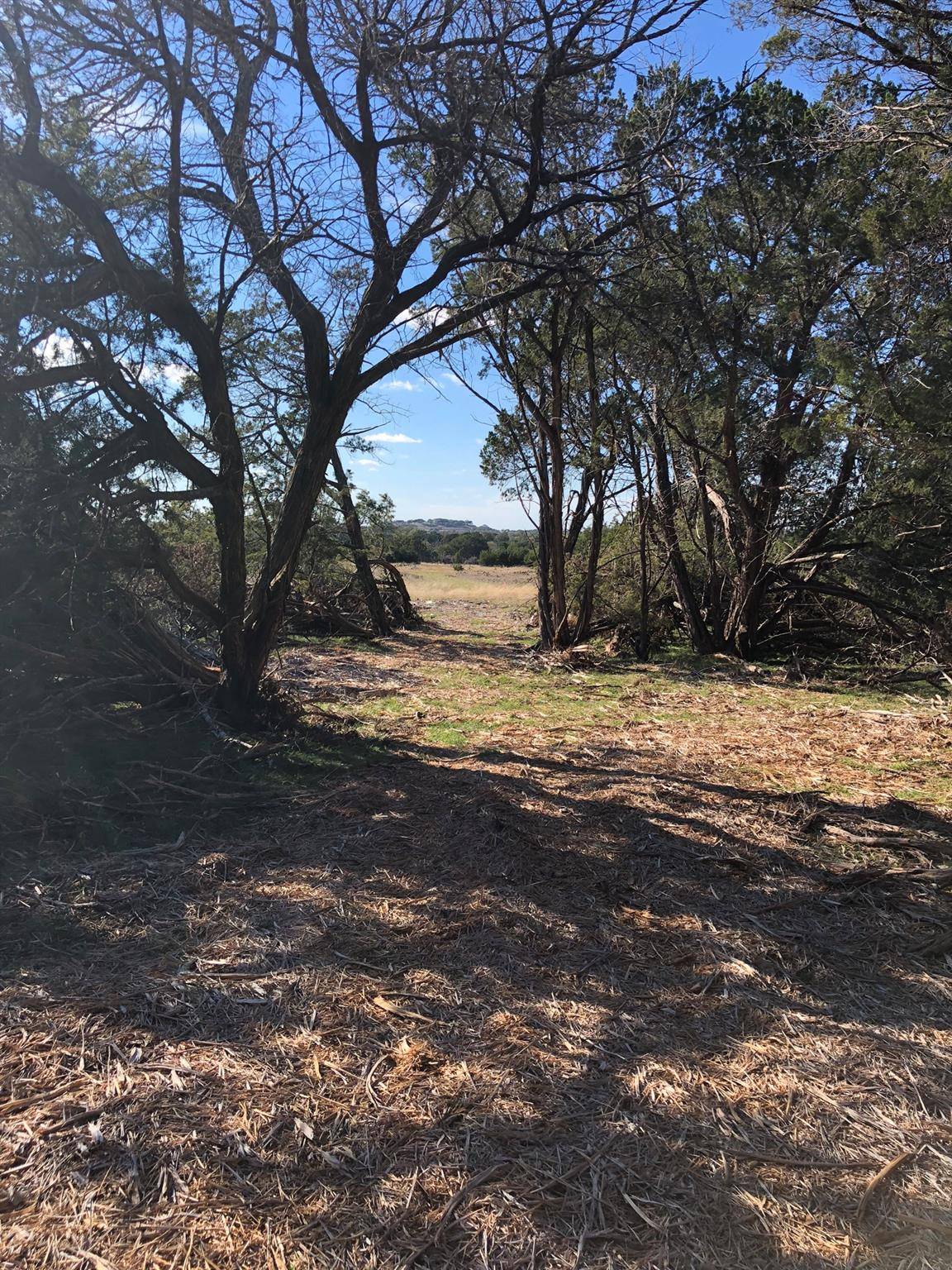 Lot 162 Addax CT, Lampasas, TX 76550