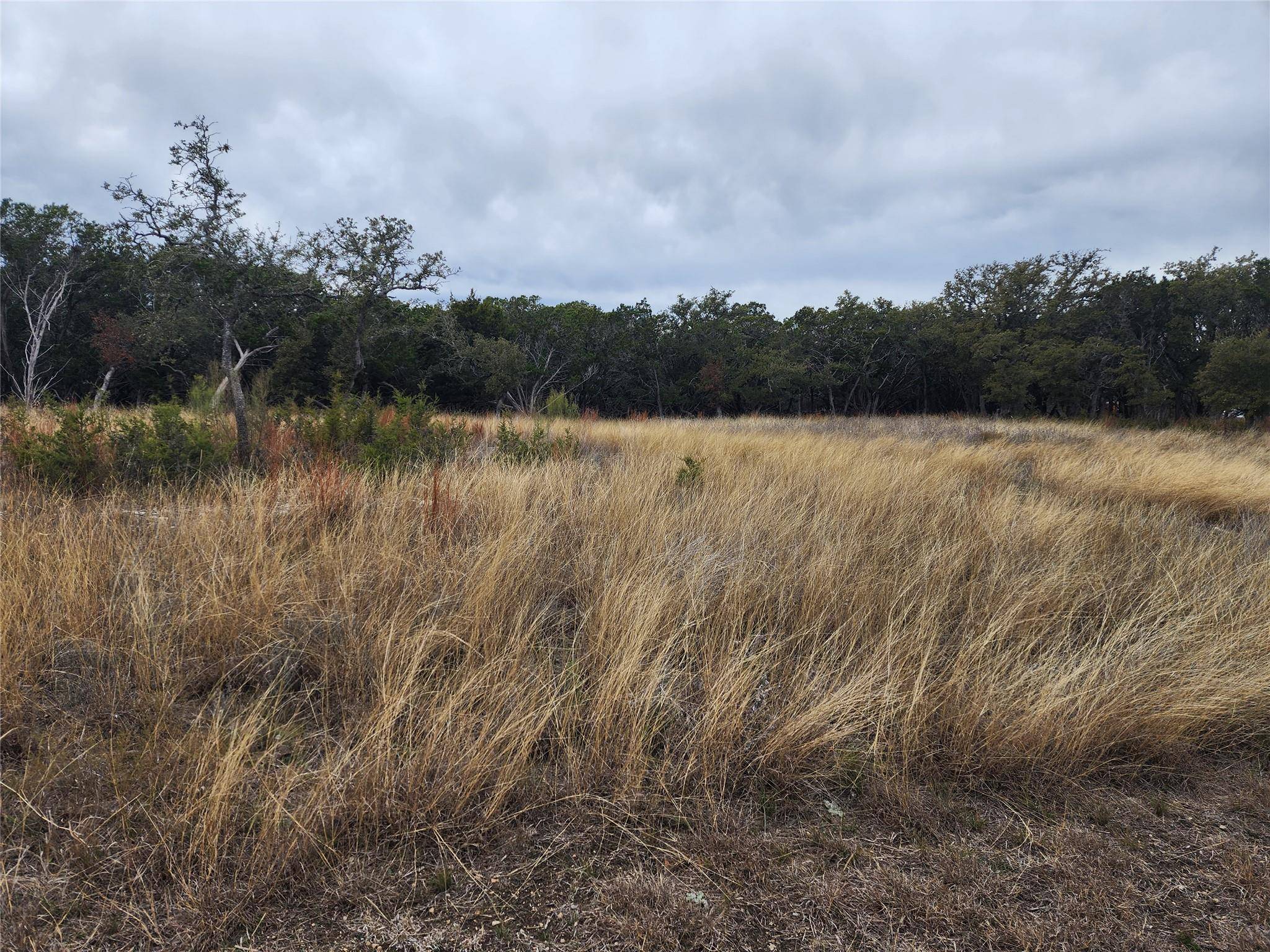 Lot 162 Addax CT, Lampasas, TX 76550