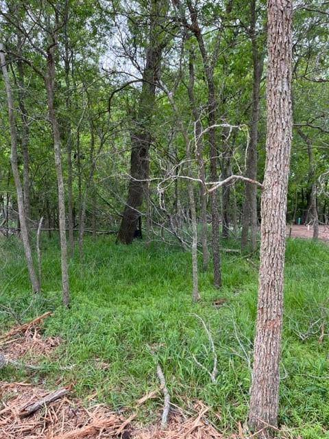 225 Kahana LN, Bastrop, TX 78602