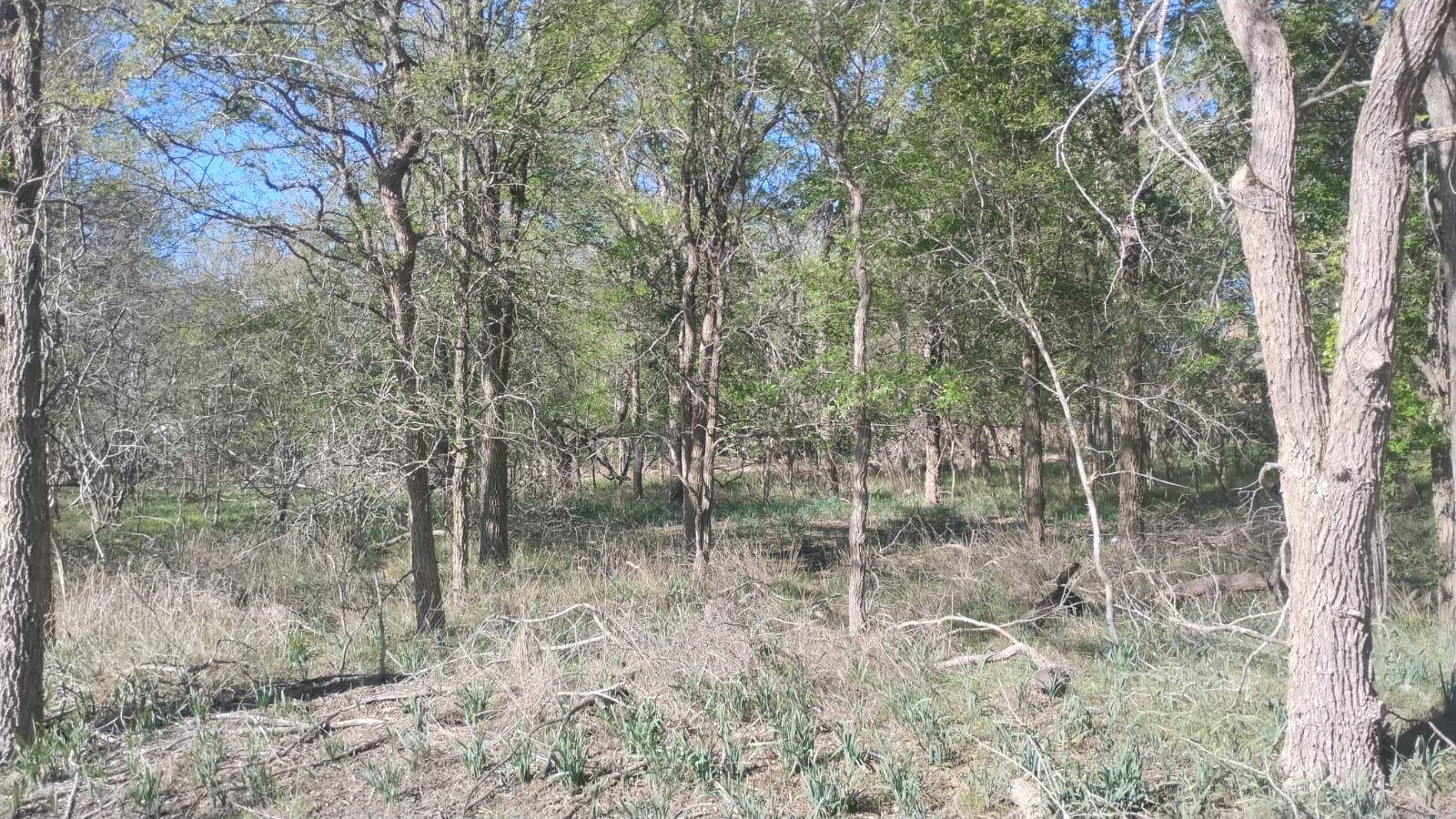 130 W Keomuku LN, Bastrop, TX 78602