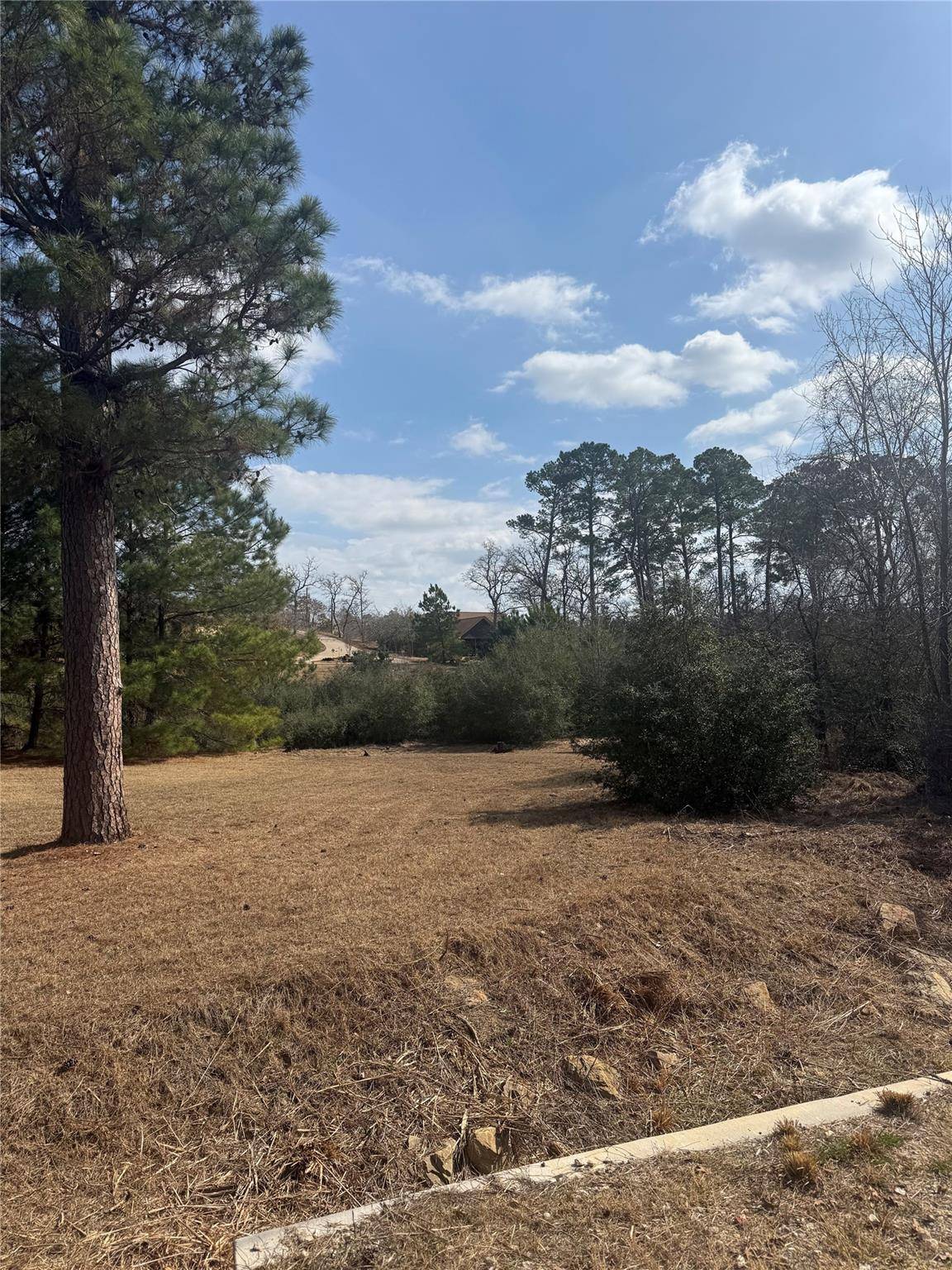 123 Koali DR, Bastrop, TX 78602