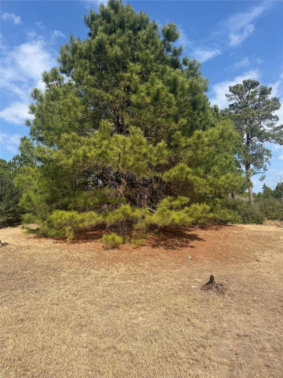 123 Koali DR, Bastrop, TX 78602