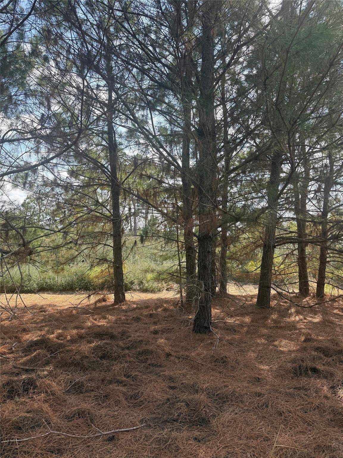 123 Koali DR, Bastrop, TX 78602