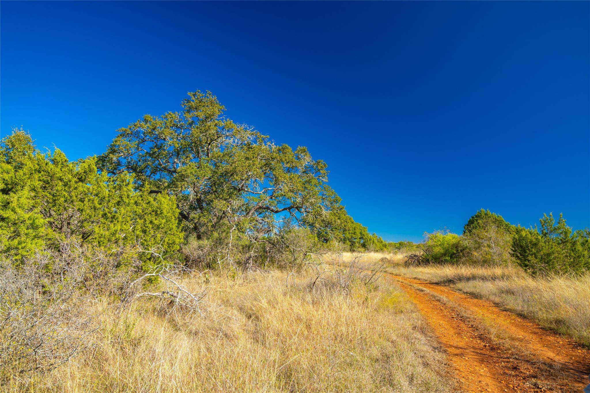 00 Quail Run DR, San Marcos, TX 78666