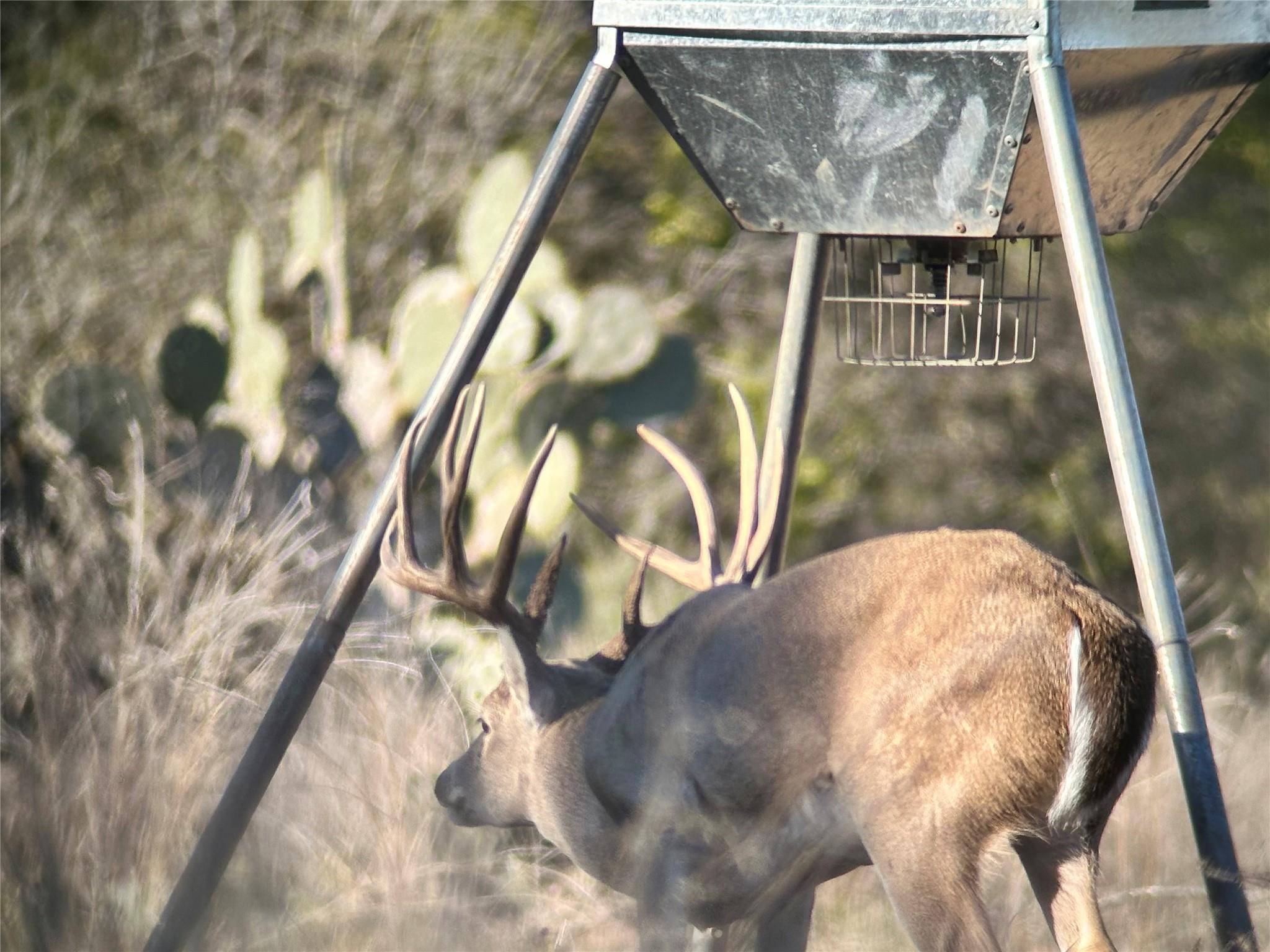 00 Quail Run DR, San Marcos, TX 78666