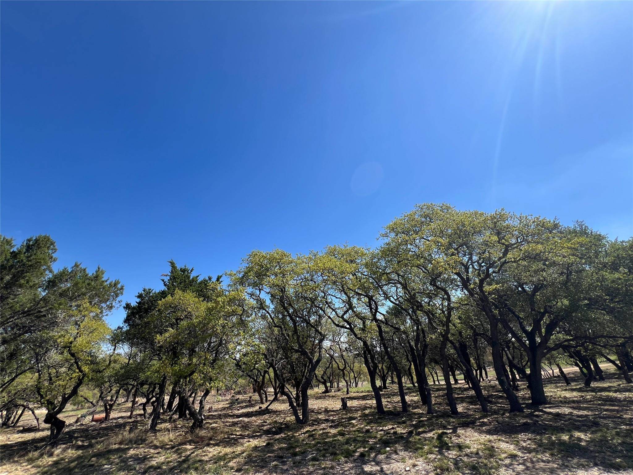 1 Barlow DR, Briggs, TX 78608