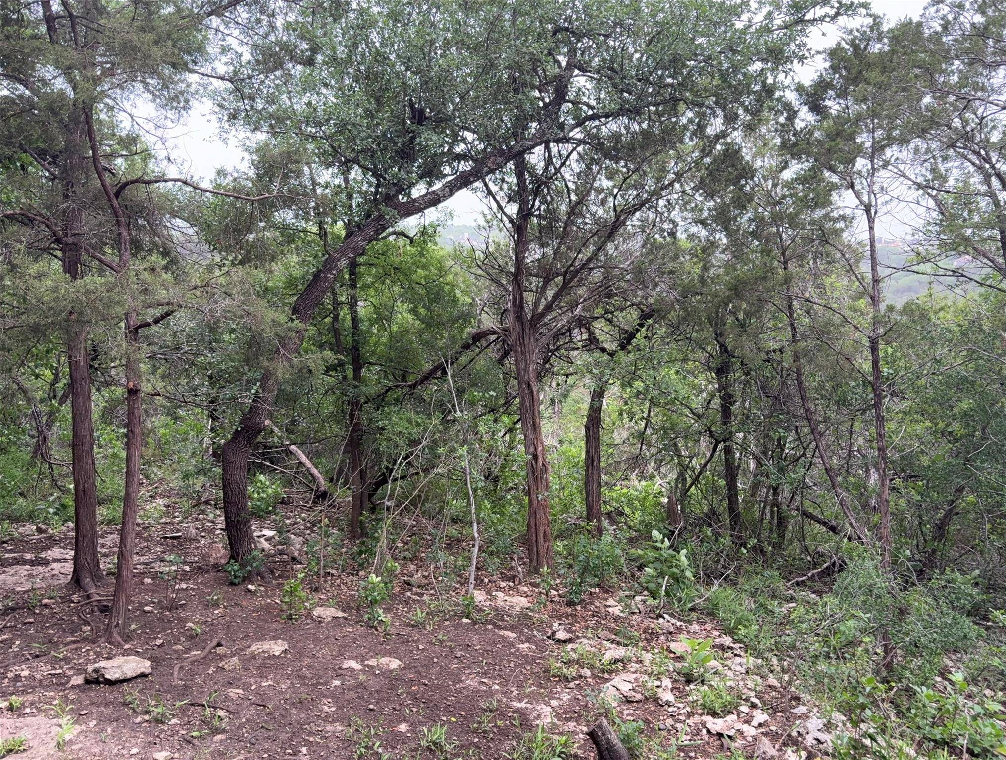 4711 Spicewood Springs RD #8-146, Austin, TX 78759