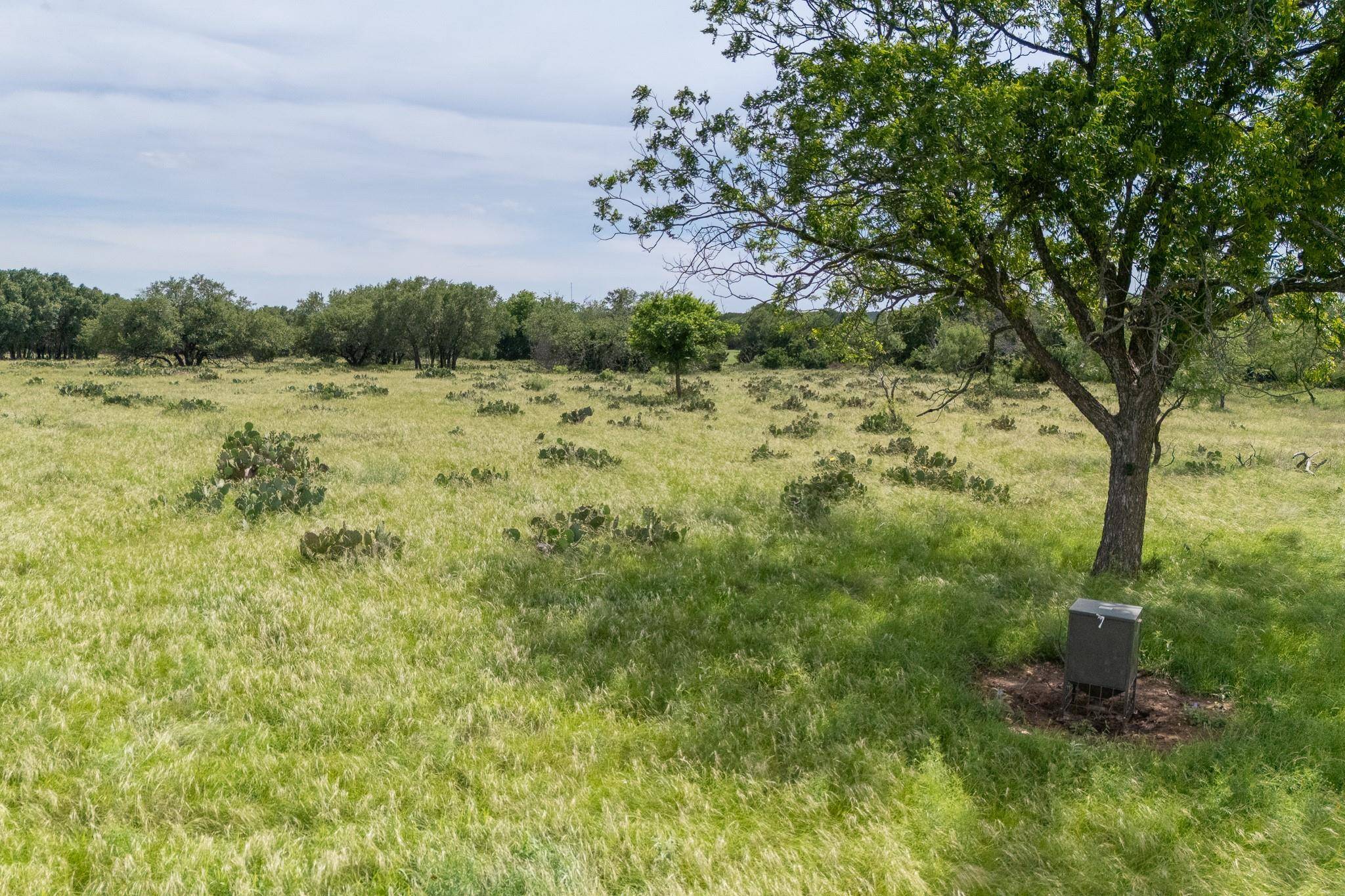 Lot 6 Cattle TRL, Kempner, TX 76539