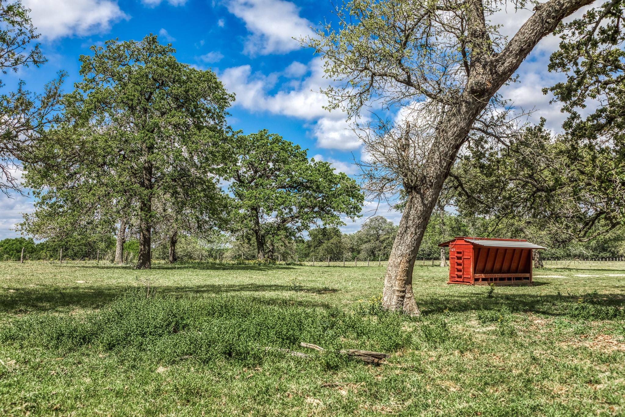 11320 County Road 343, Caldwell, TX 77836