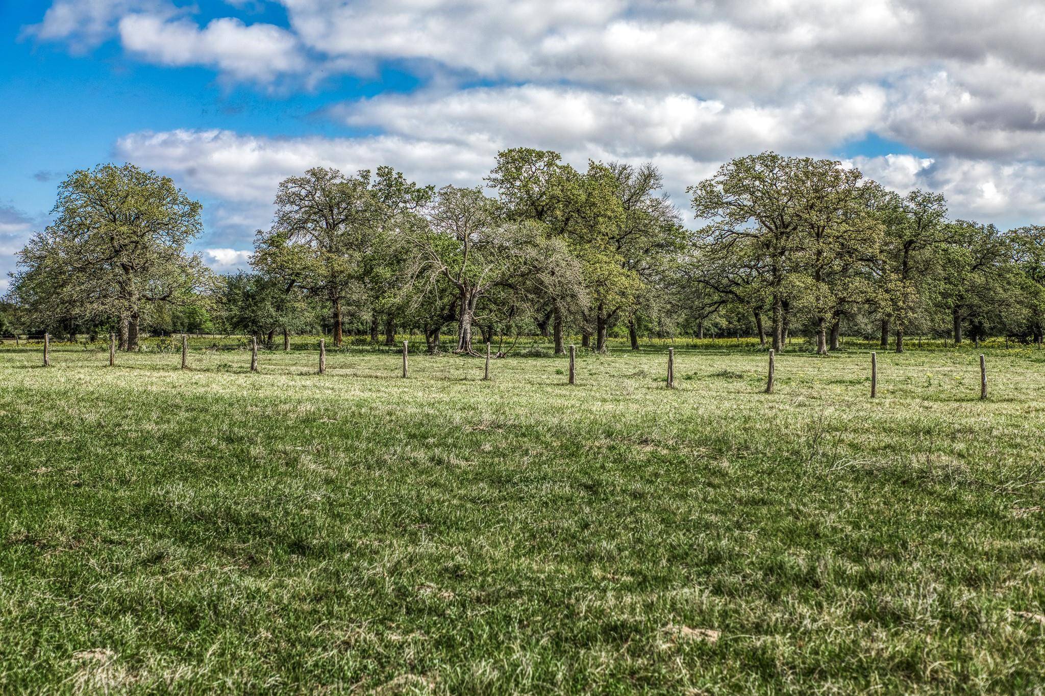 11320 County Road 343, Caldwell, TX 77836