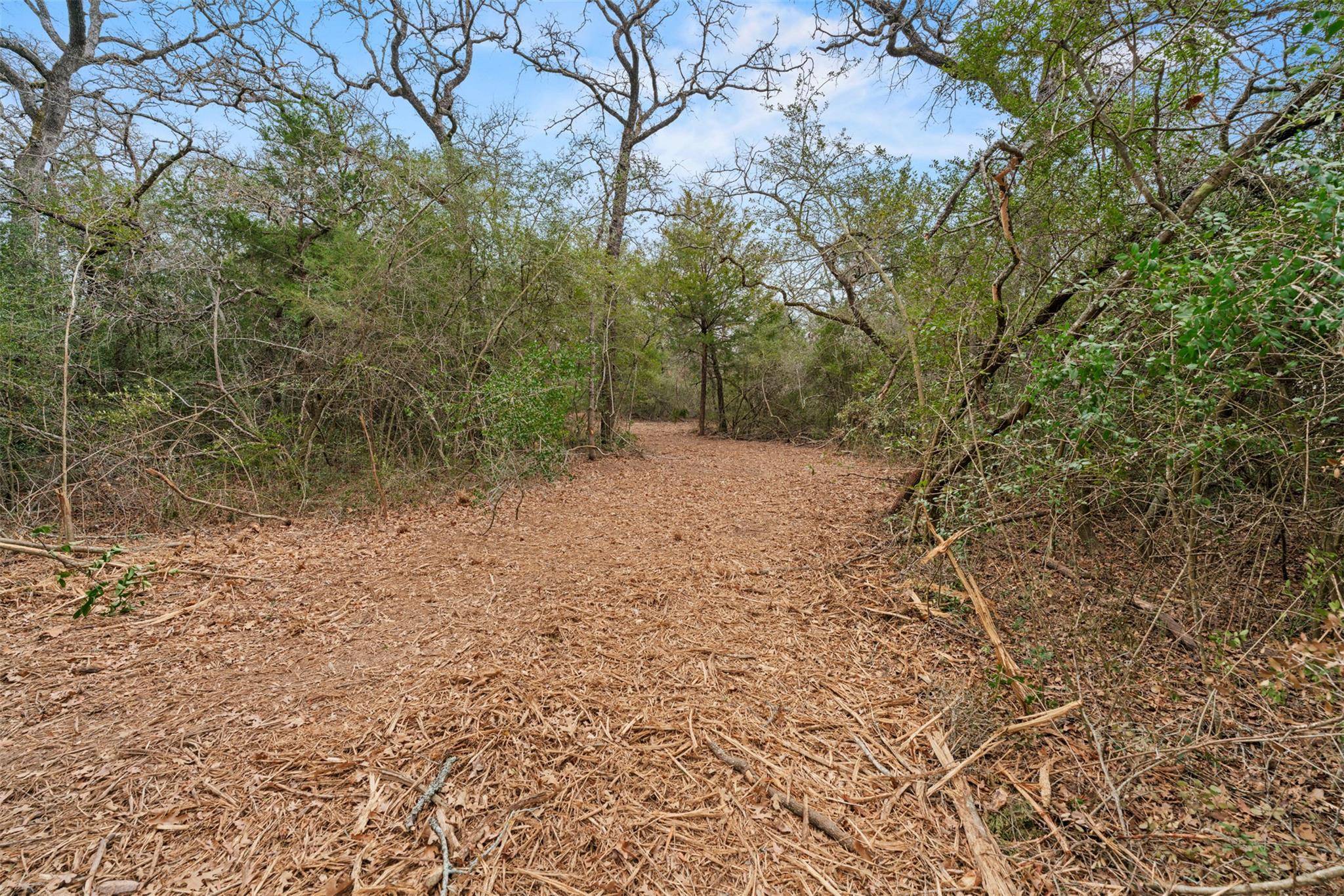 TBD County Road 326 Lot 8, Rockdale, TX 76567