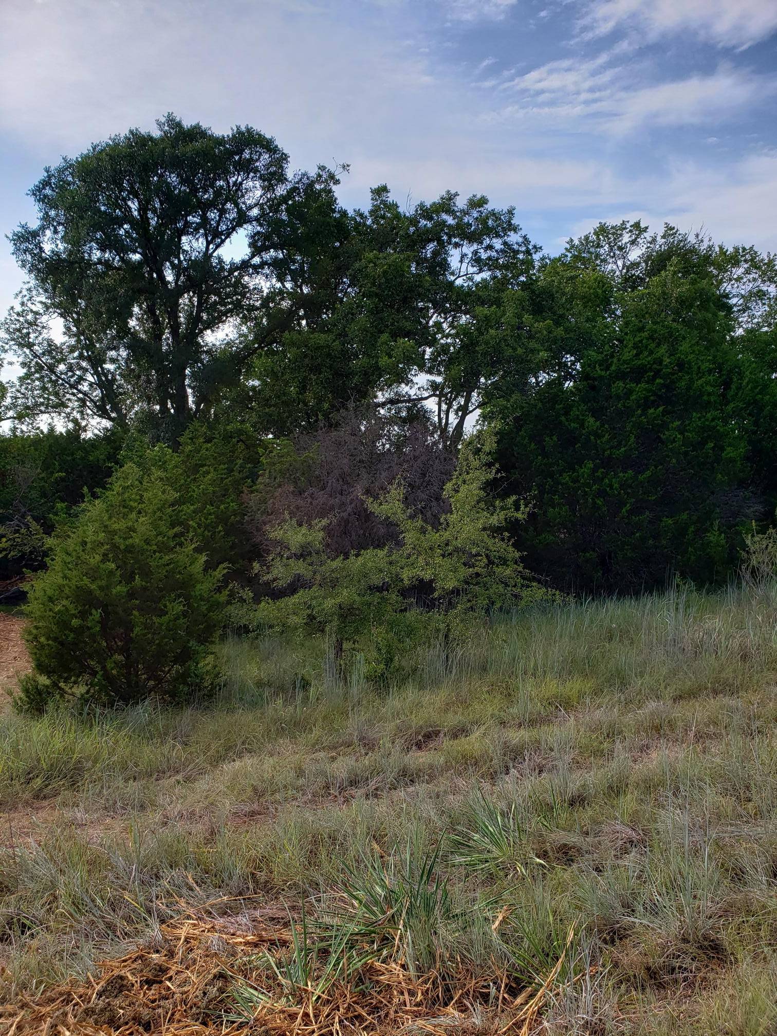 Lot 44 County Road 3640, Lampasas, TX 76522