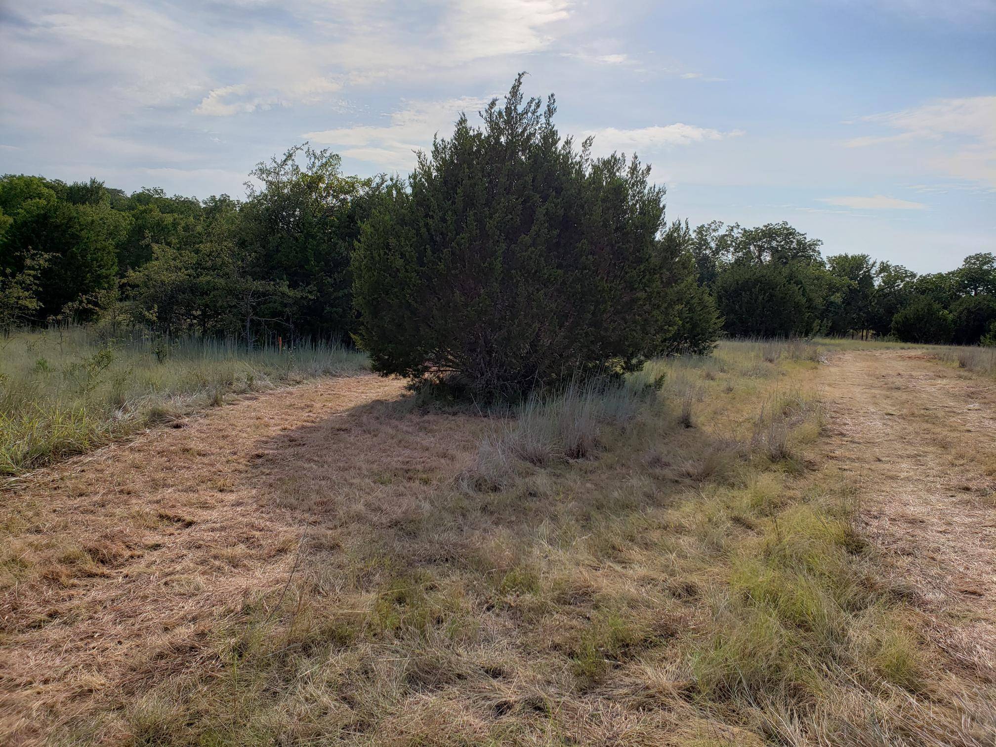 Lot 44 County Road 3640, Lampasas, TX 76522