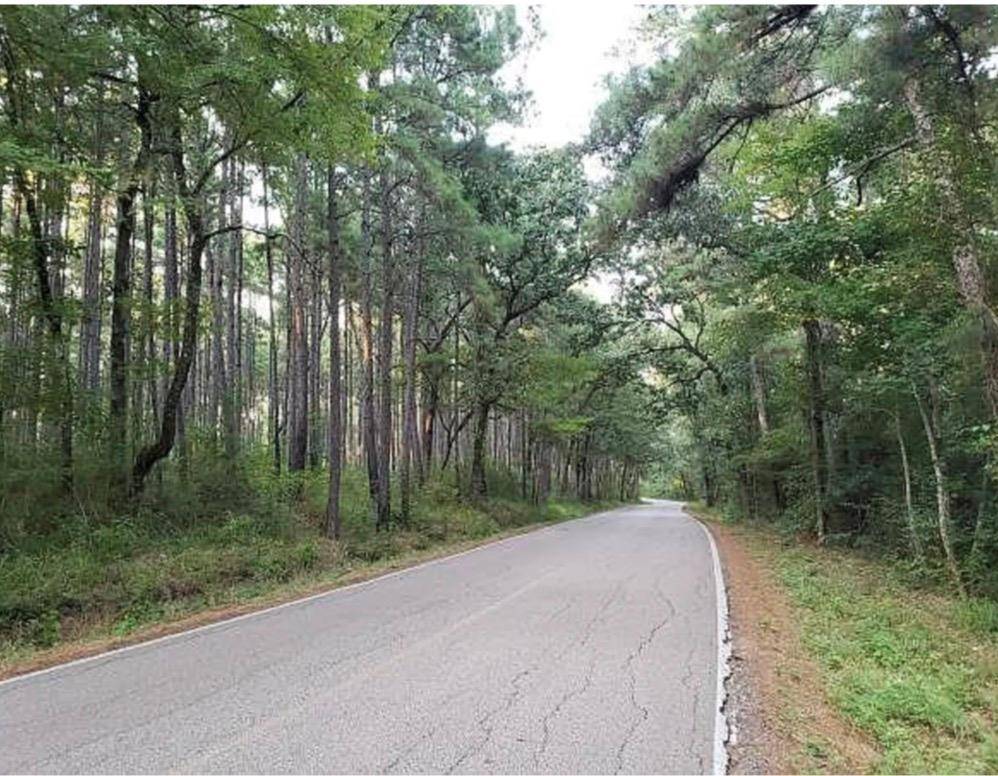 Address not disclosed, Montgomery, TX 77356