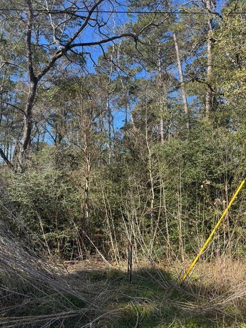 Address not disclosed, Montgomery, TX 77356