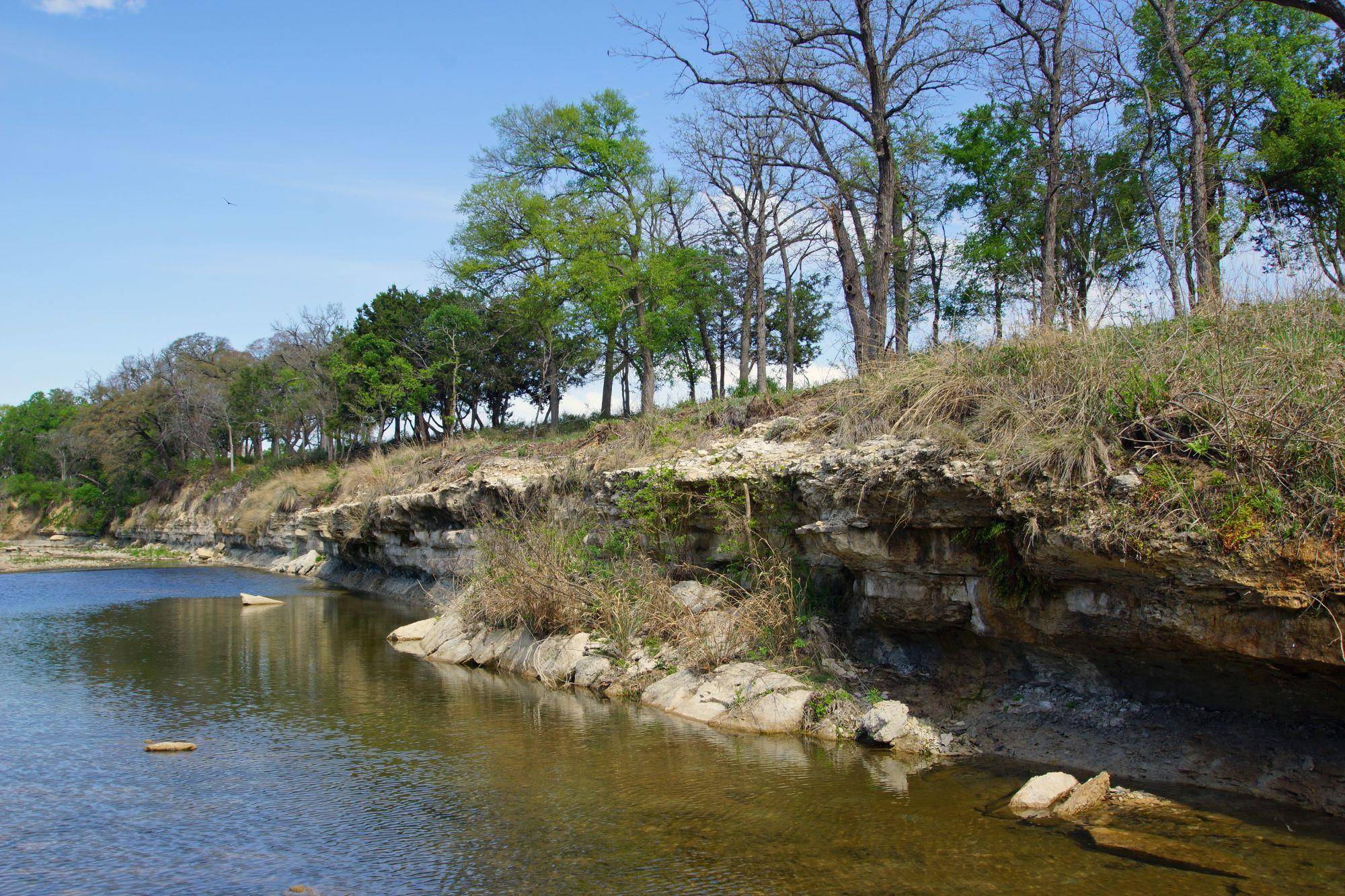 TBD County Road 207, Liberty Hill, TX 78642