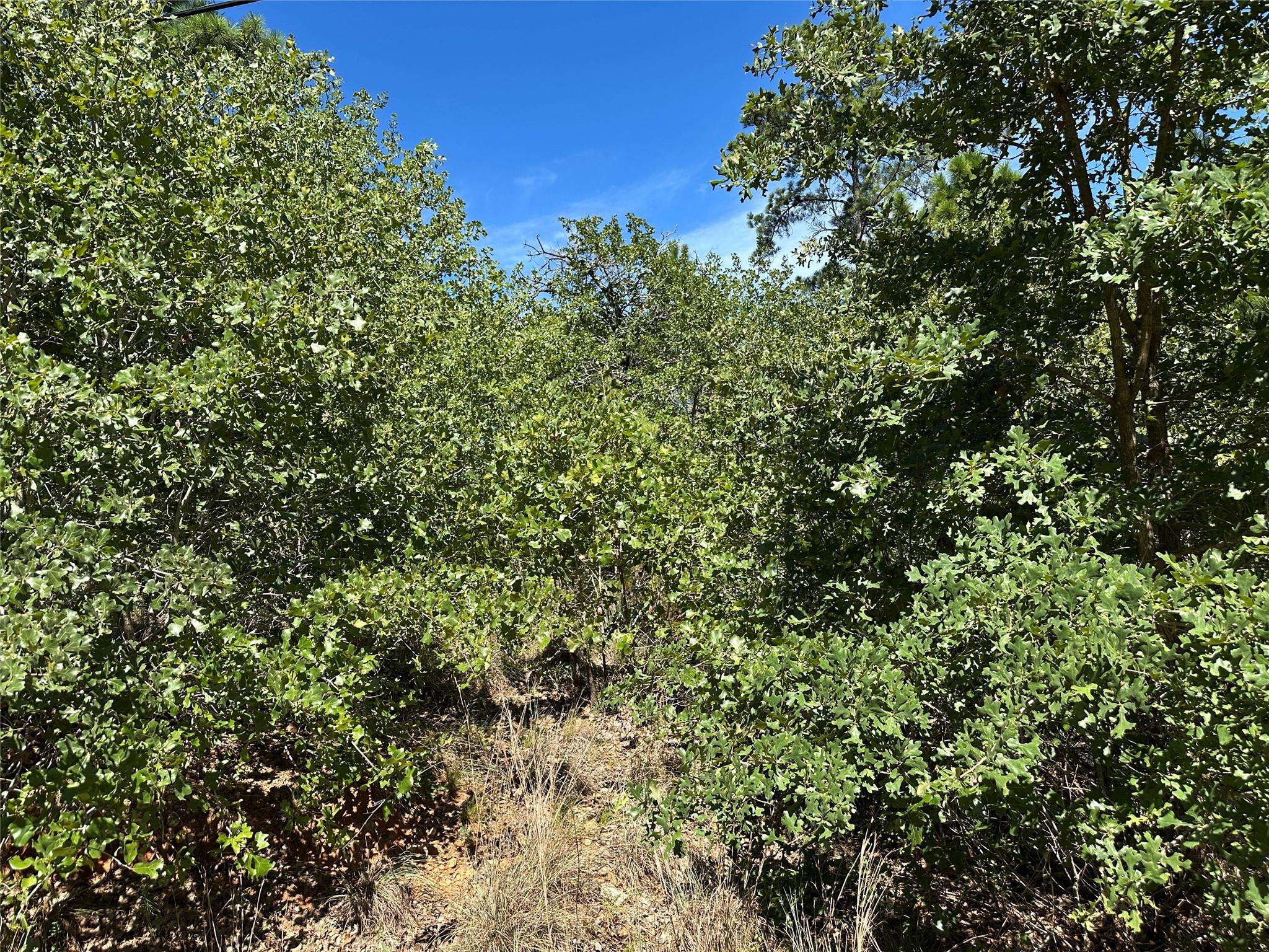 TBD N. Pahihi DR, Bastrop, TX 78602