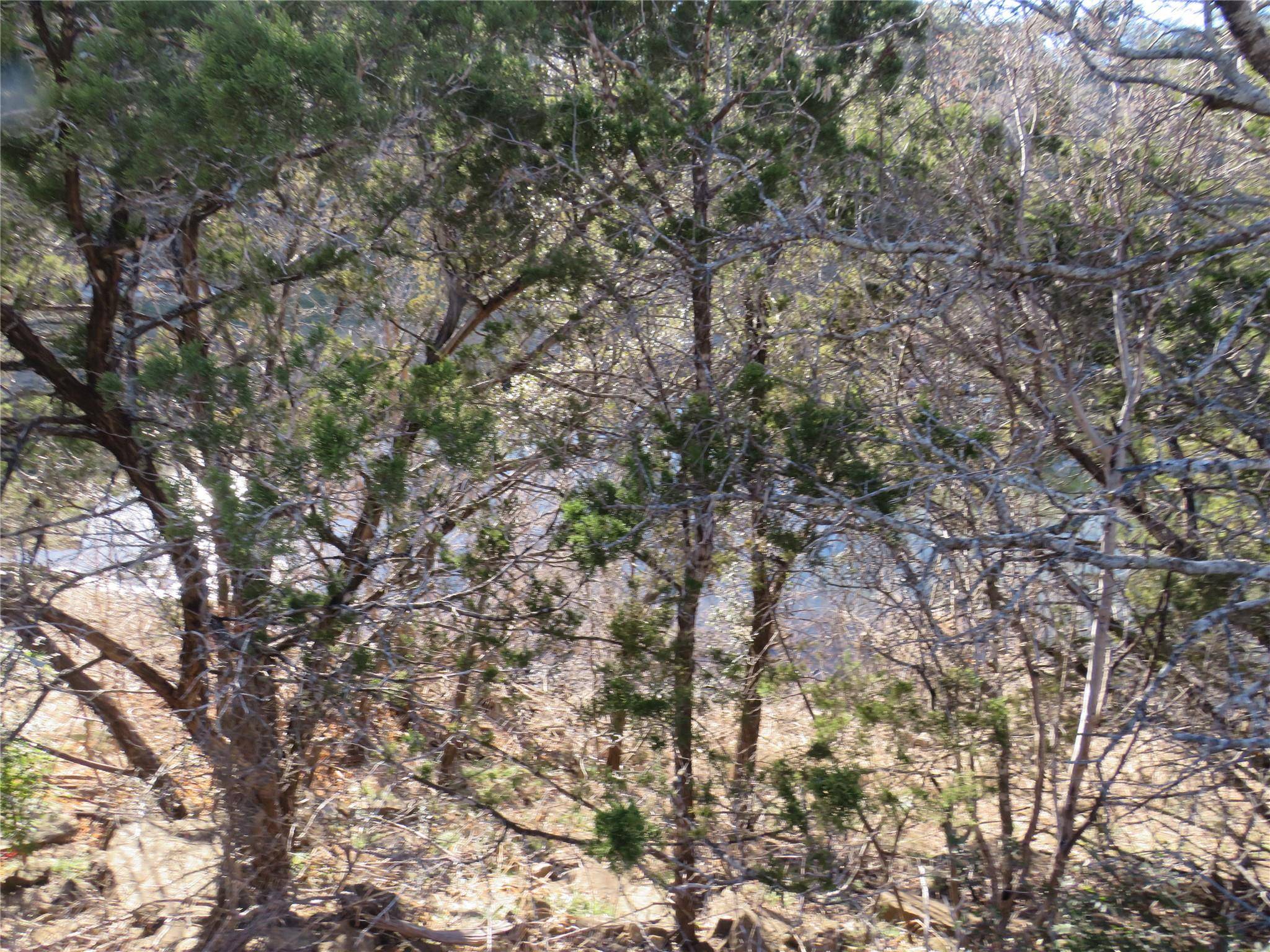 TBD LOT 25 SUNSET CLIFF RD, Burnet, TX 78611