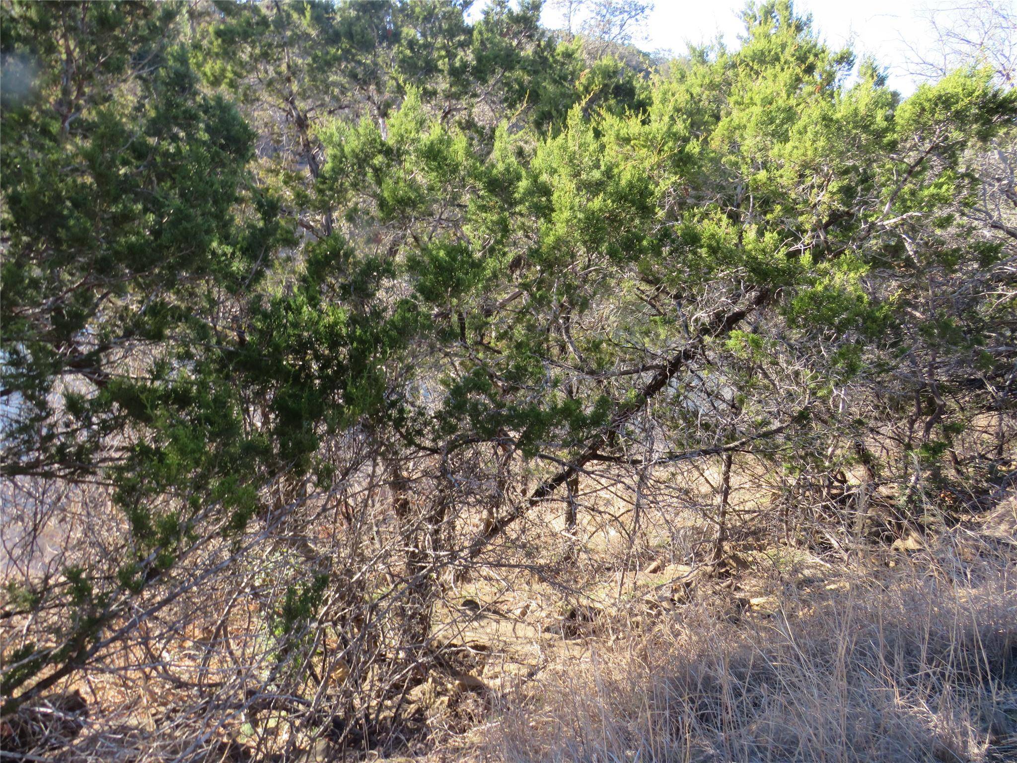 TBD LOT 25 SUNSET CLIFF RD, Burnet, TX 78611