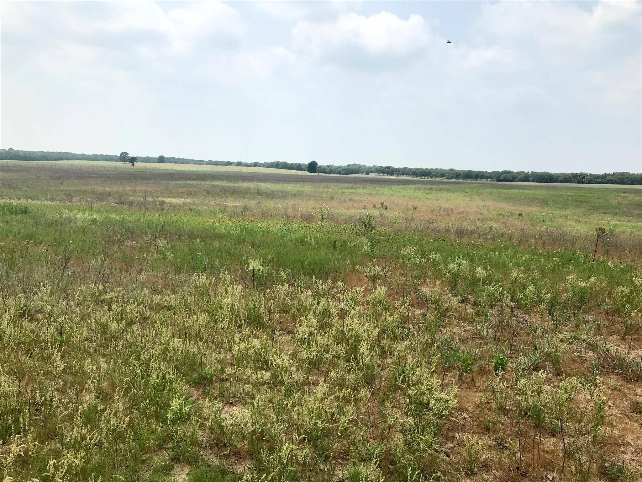 1672 Sayers Tract 2 RD, Bastrop, TX 78602