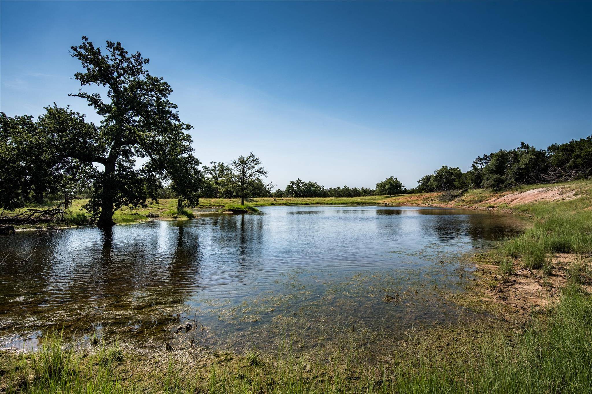 12350-125 N Hwy 16 HWY, Fredericksburg, TX 78624
