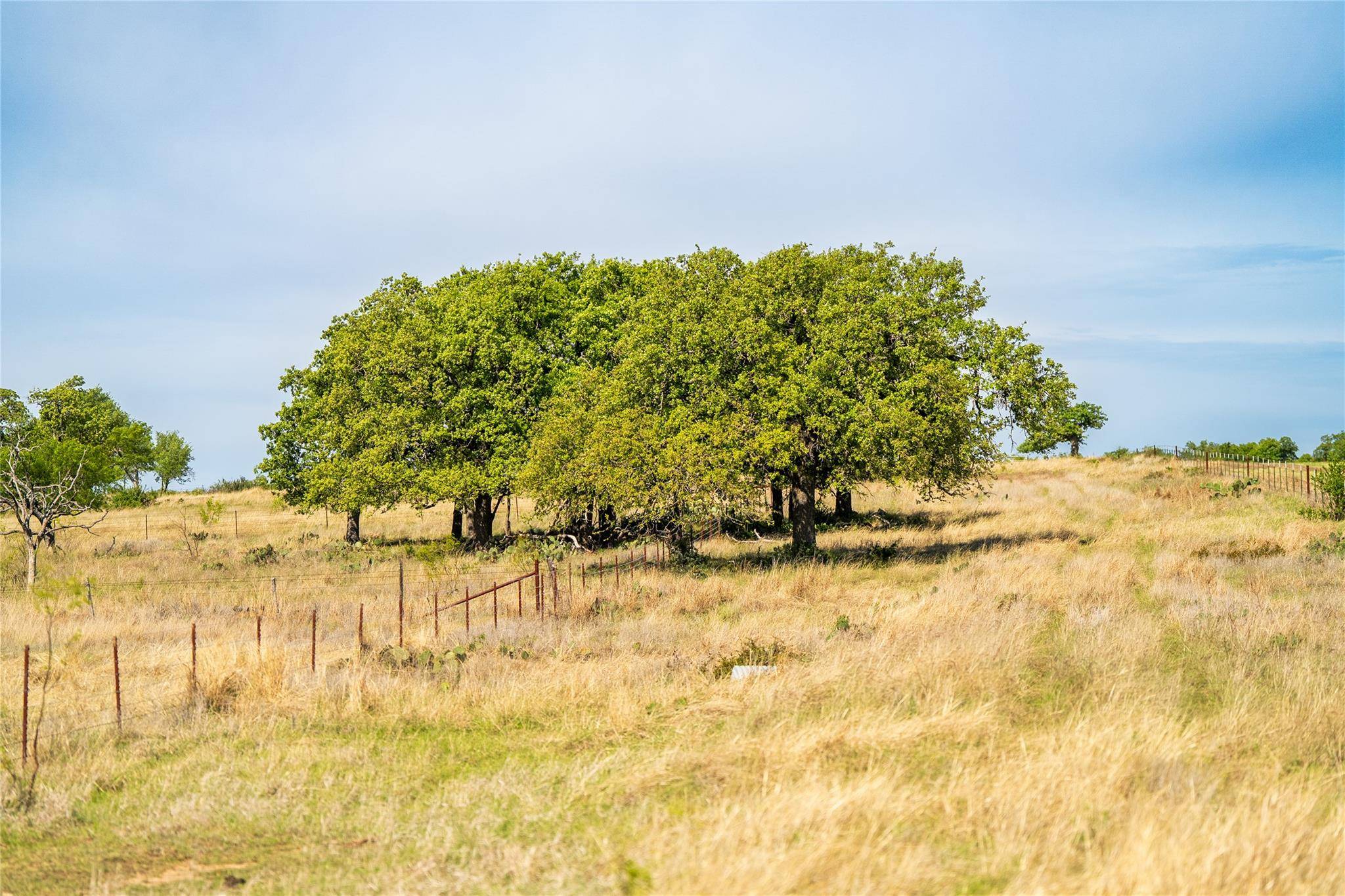 12350-125 N Hwy 16 HWY, Fredericksburg, TX 78624