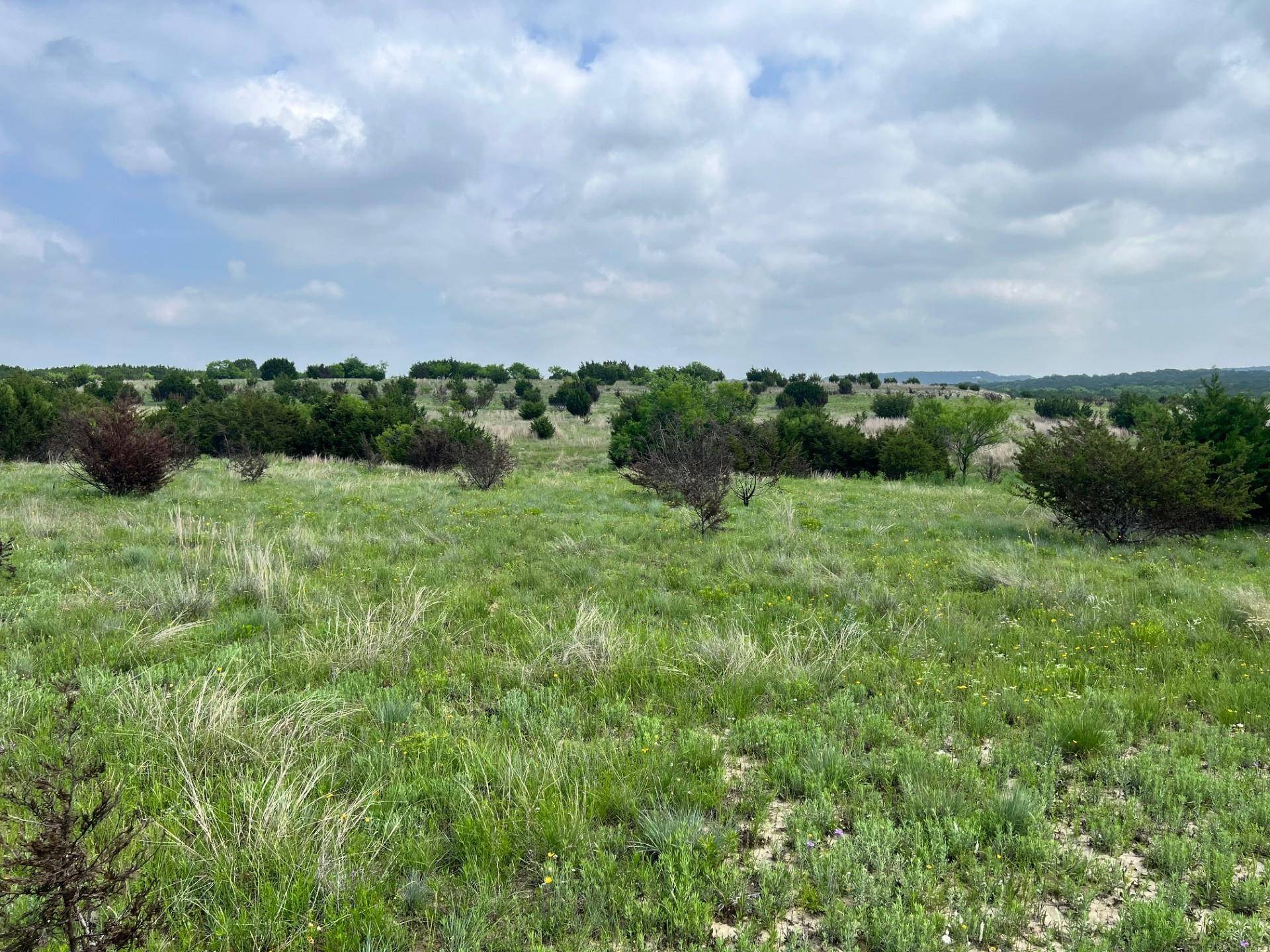 Track 3, 8, and 12, 4847 TBD# CR 3300, Kempner, TX 76539