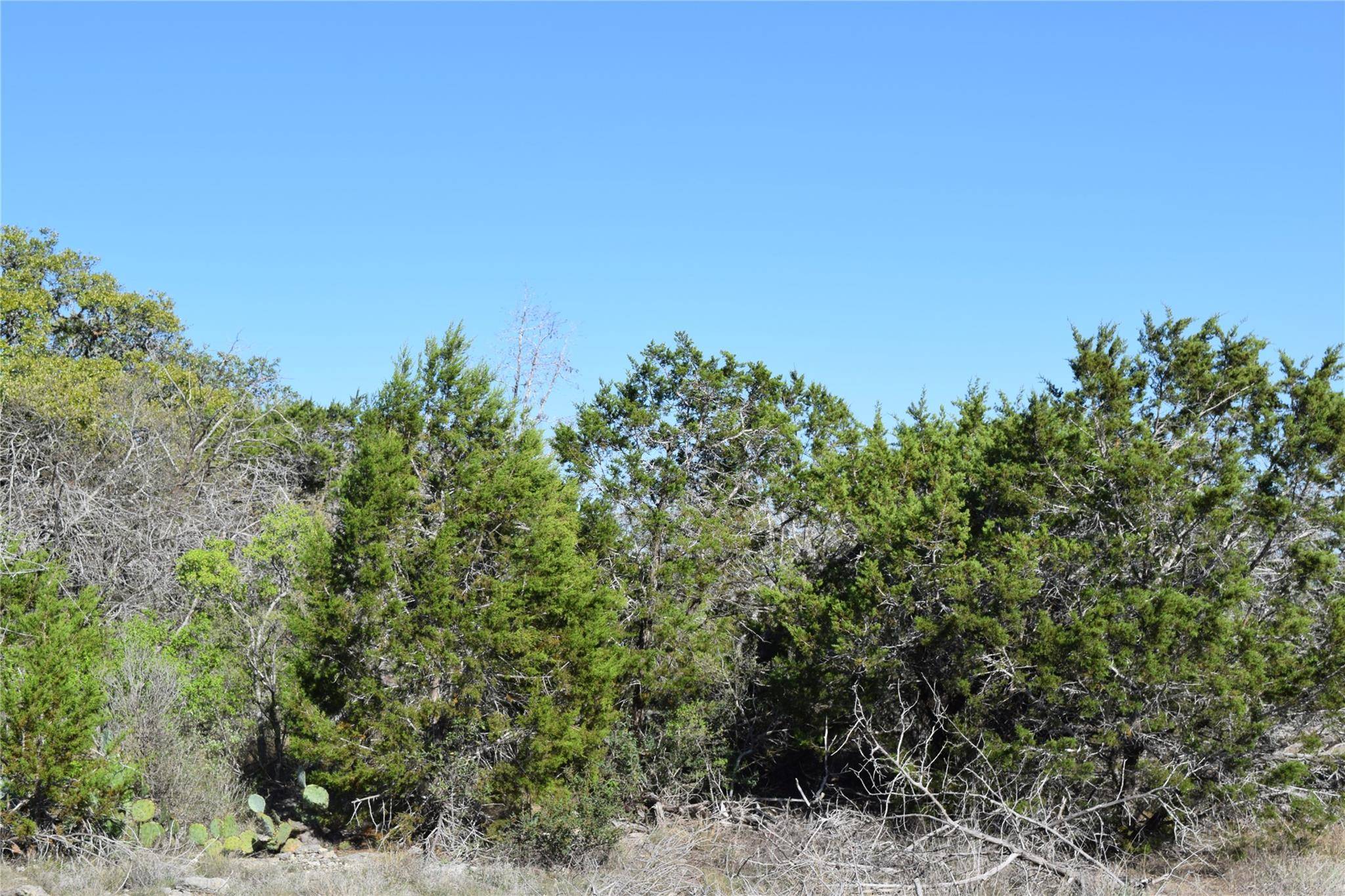 TBD Cheyenne TRL, Wimberley, TX 78676
