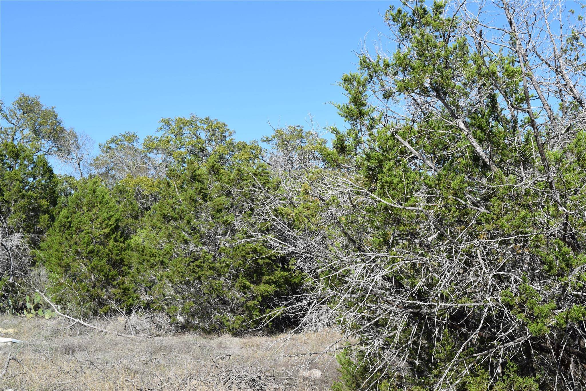 TBD Cheyenne TRL, Wimberley, TX 78676